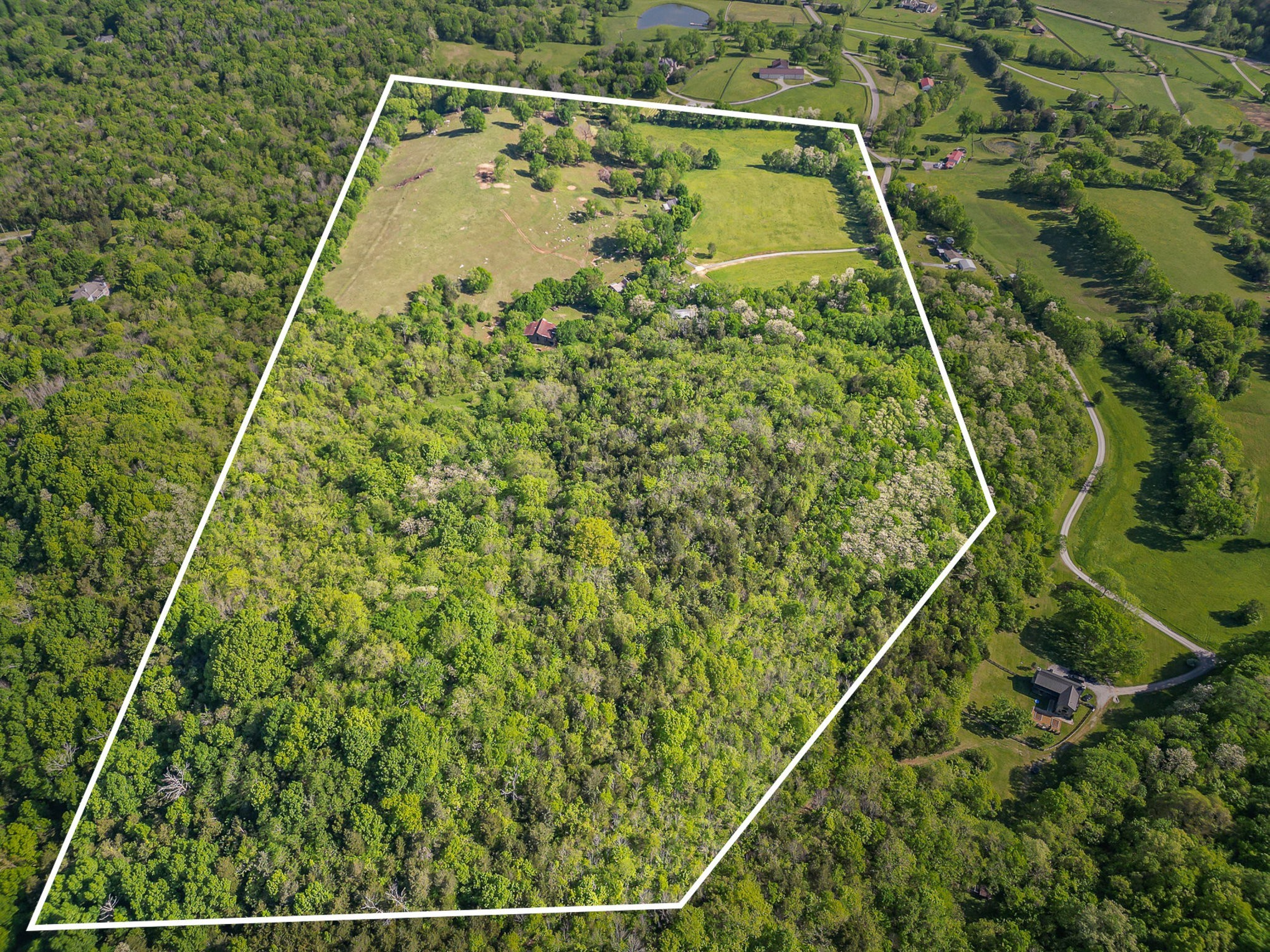 Listing image 8