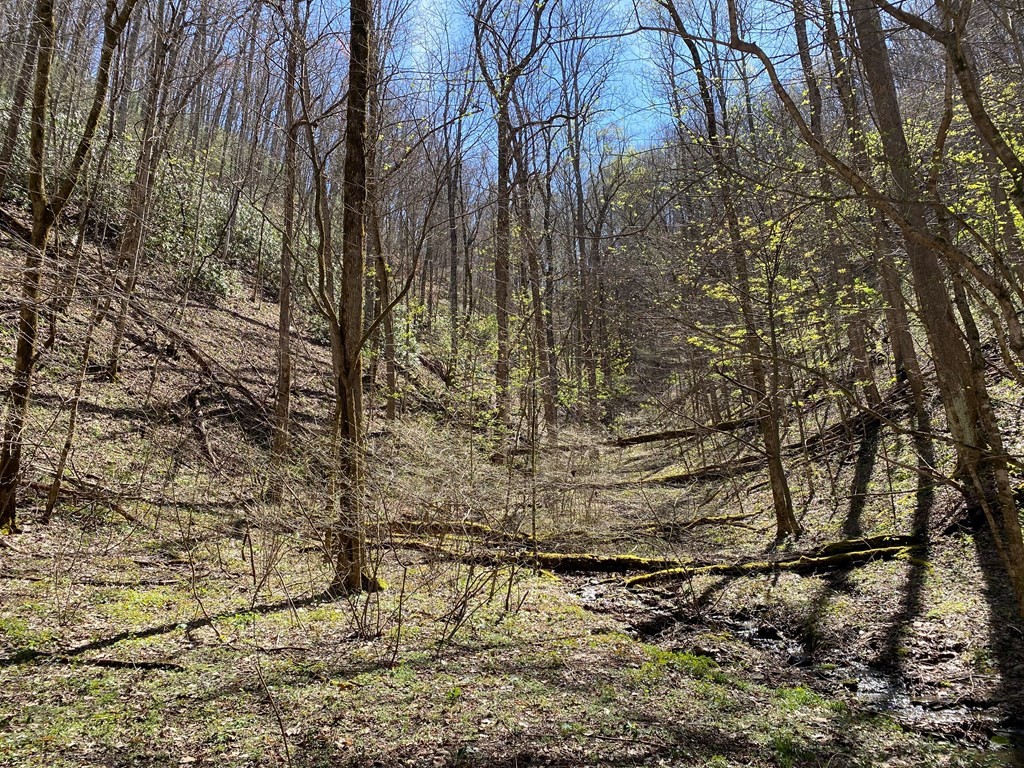 Listing image 36