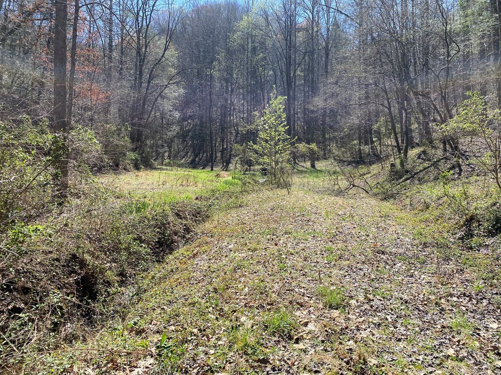 Listing image 29