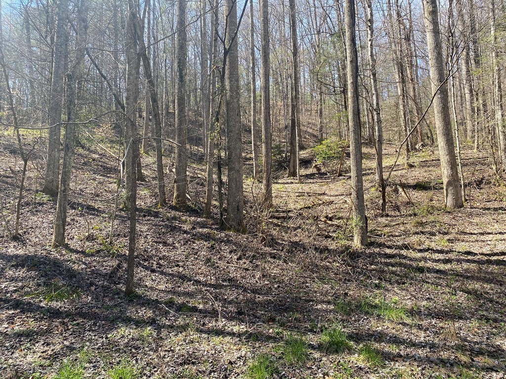 Listing image 37