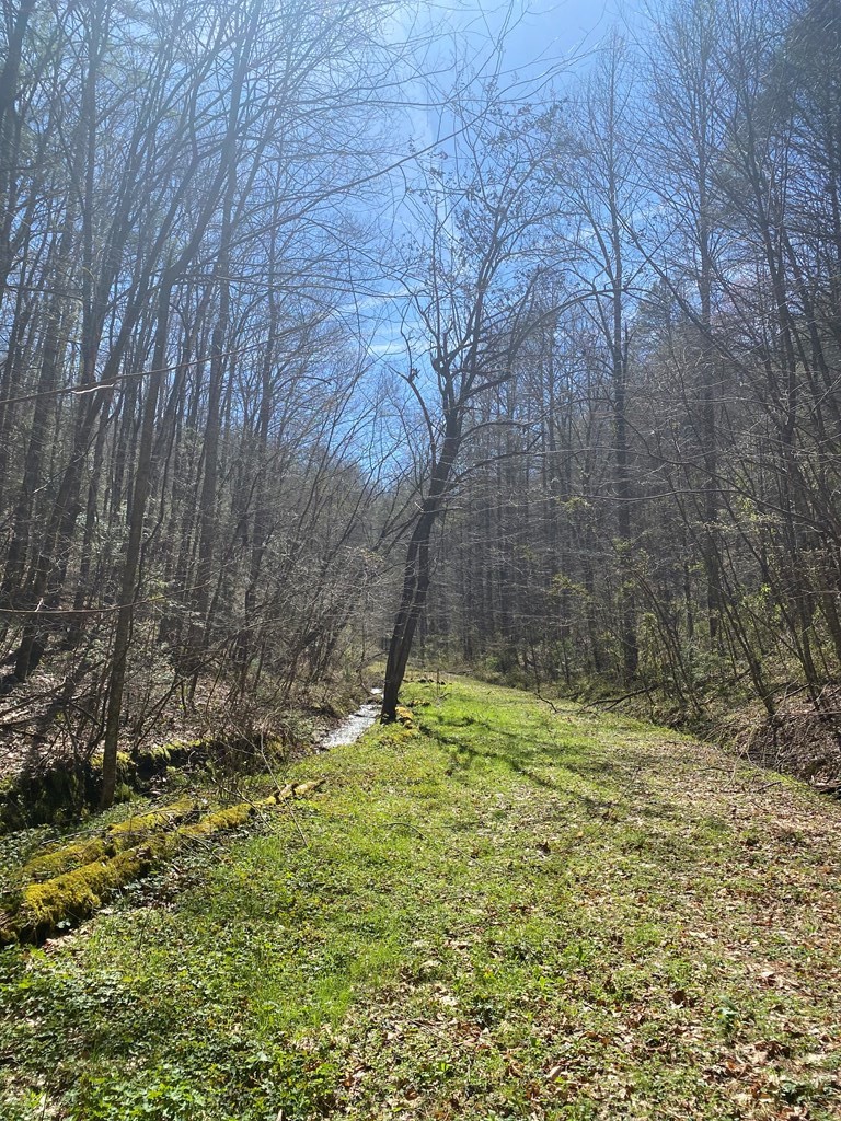 Listing image 42