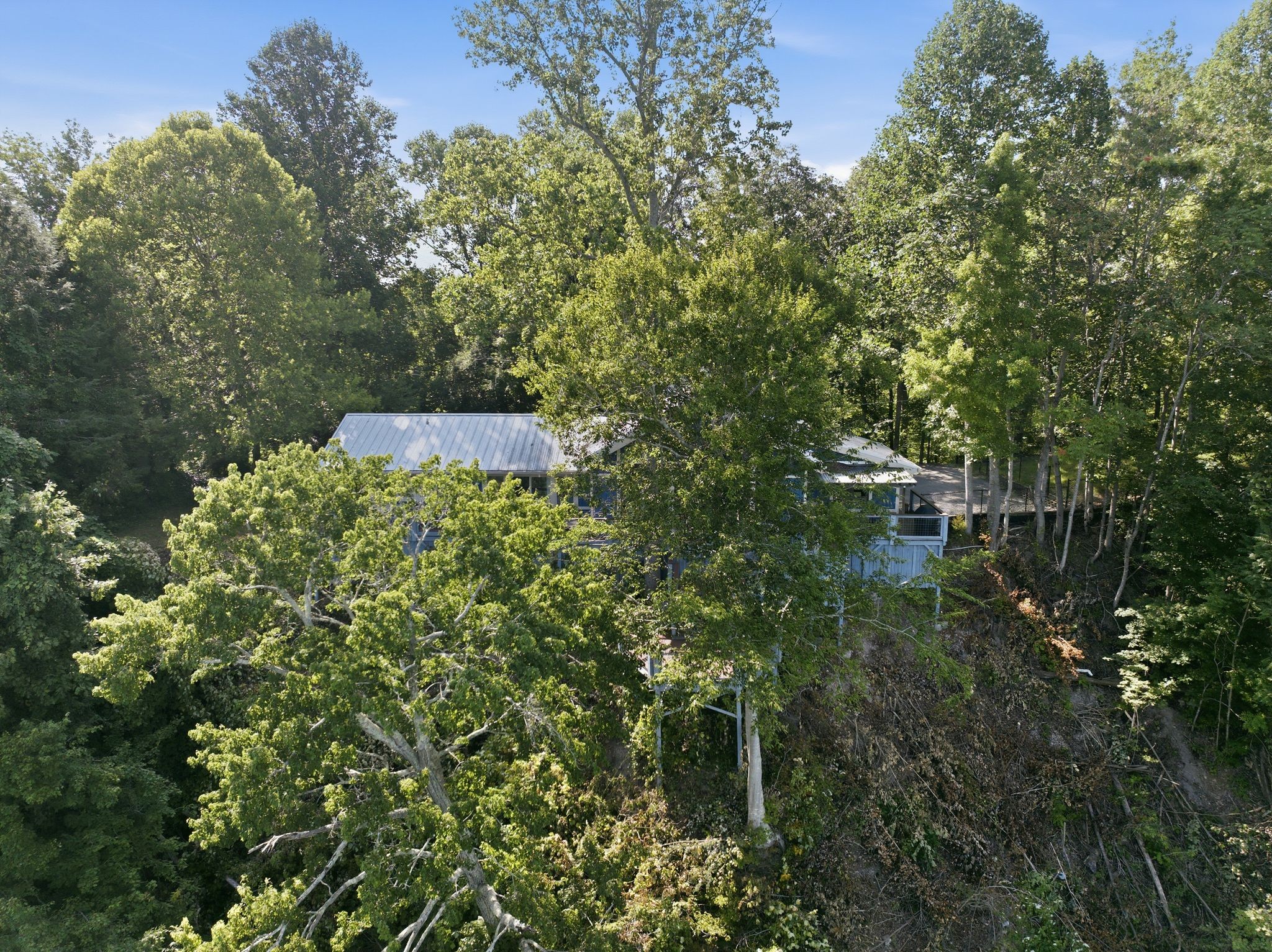Listing image 57