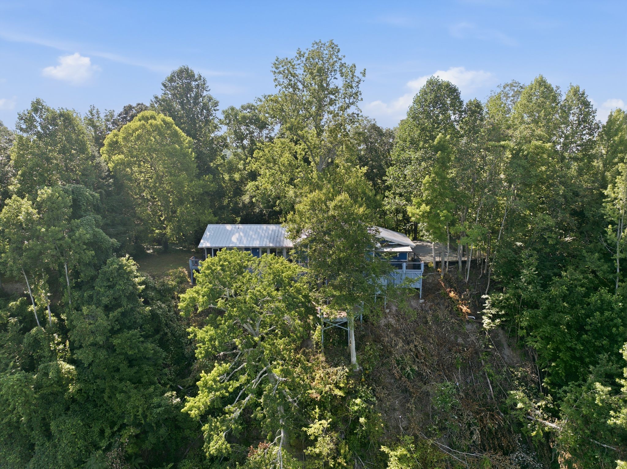 Listing image 58