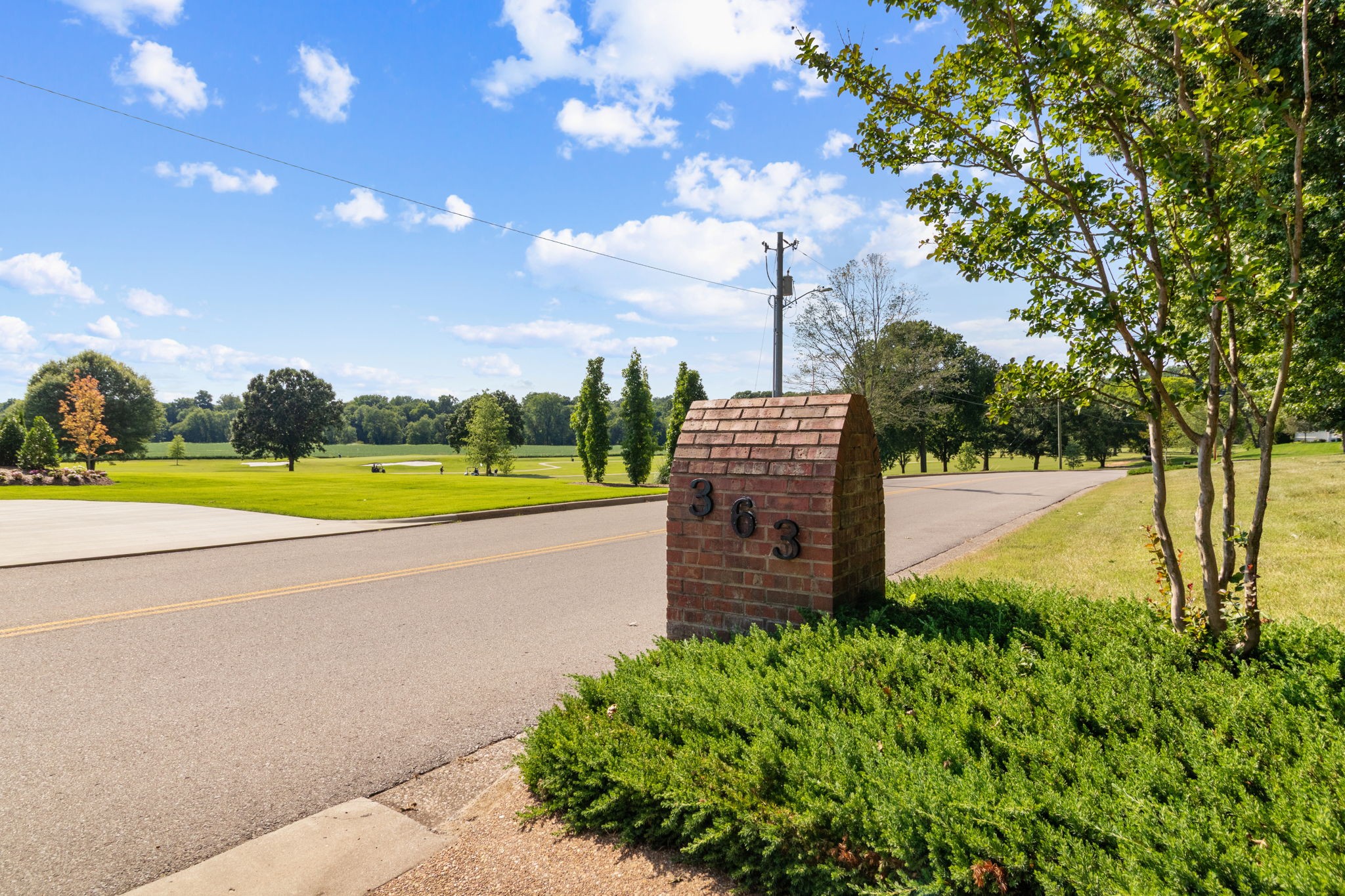 Listing image 65