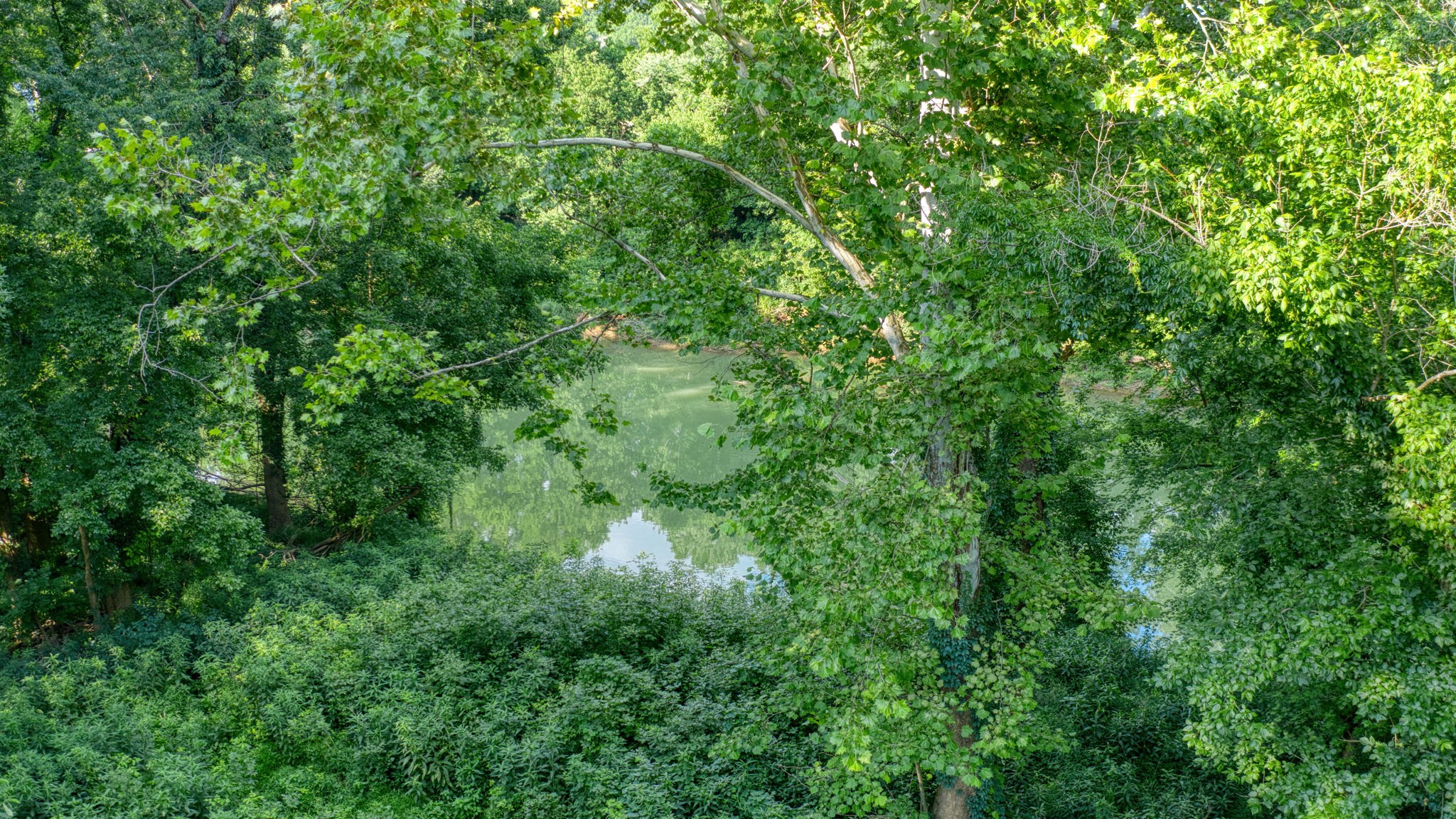 Listing image 77