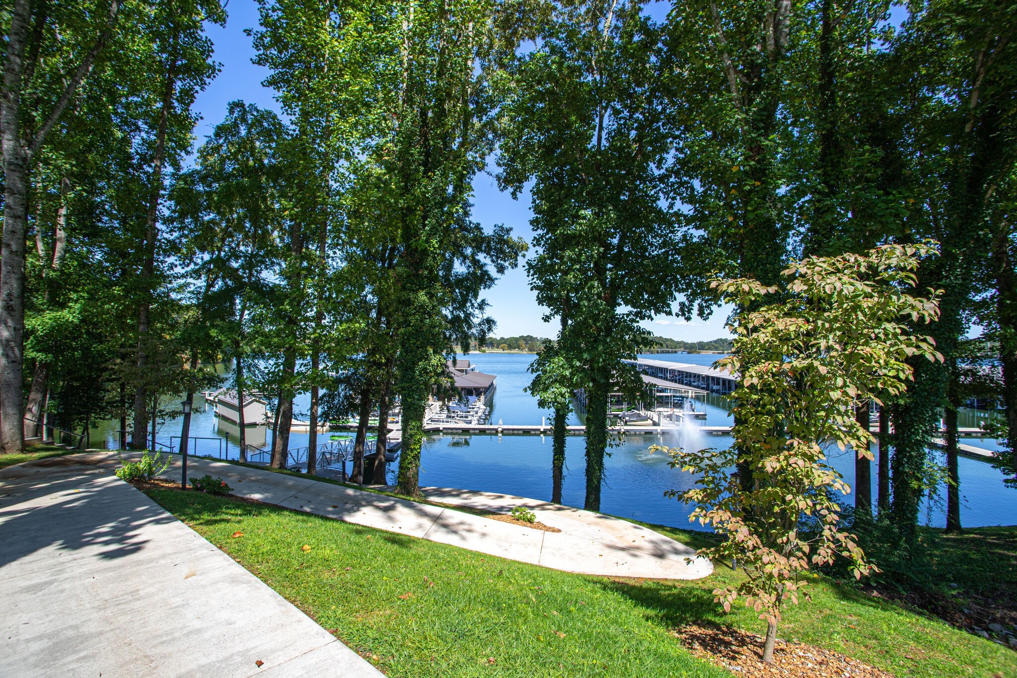 Listing image 56