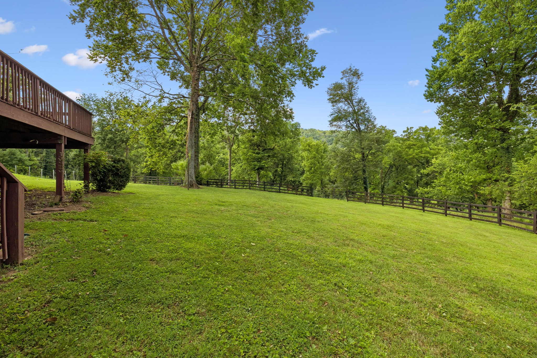 Listing image 54