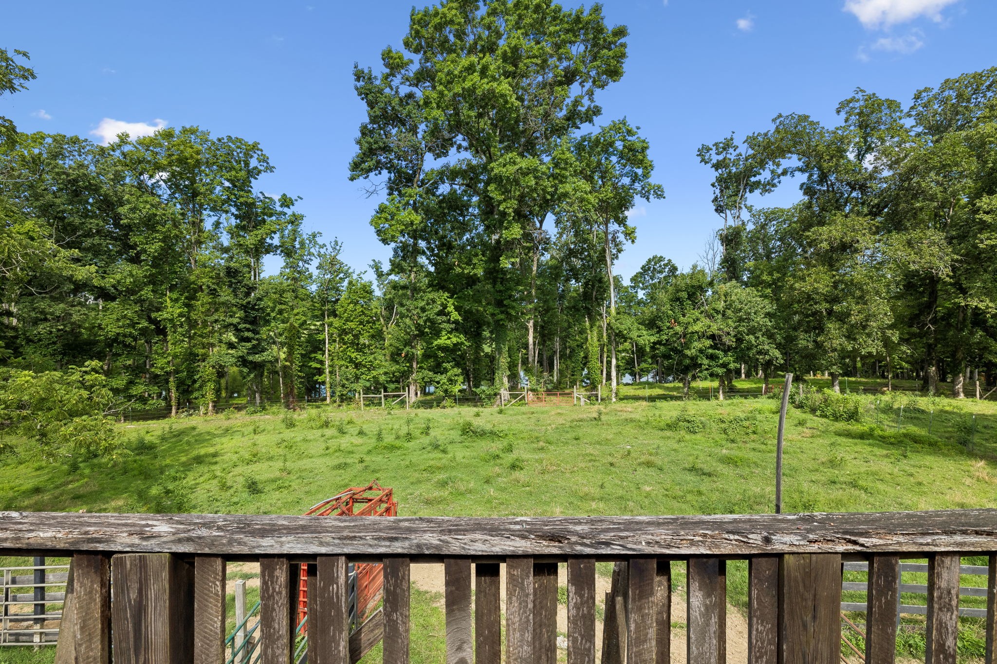 Listing image 69