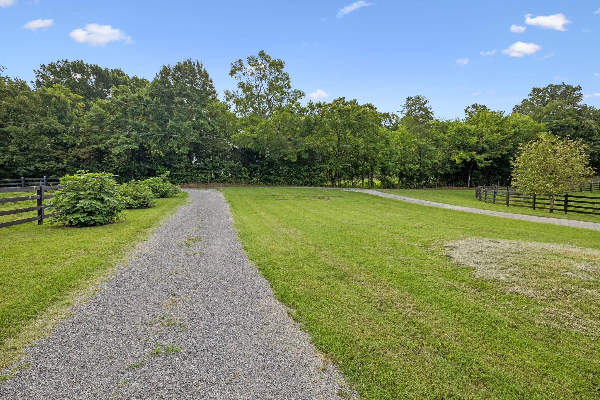 Listing image 73