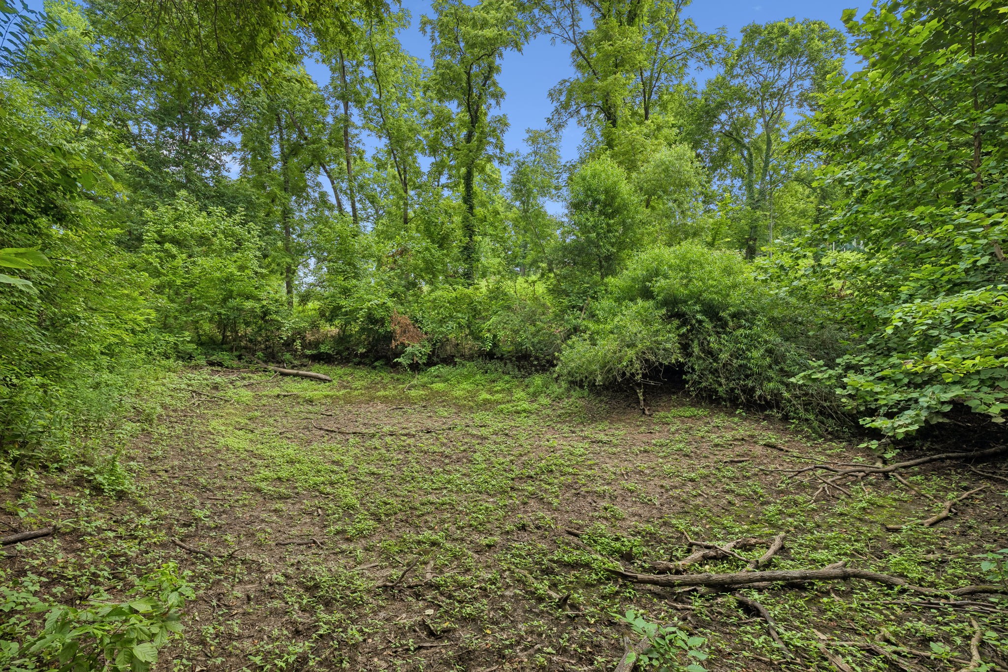 Listing image 57
