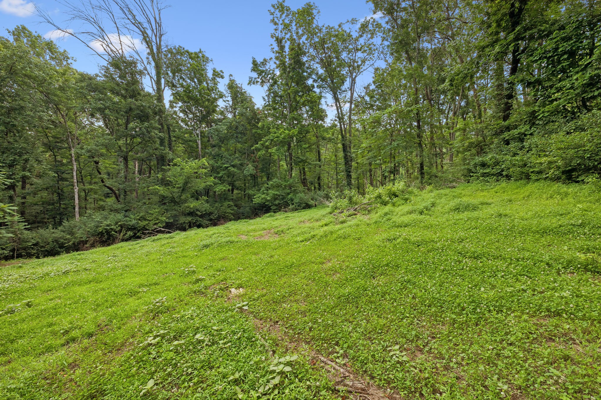 Listing image 59