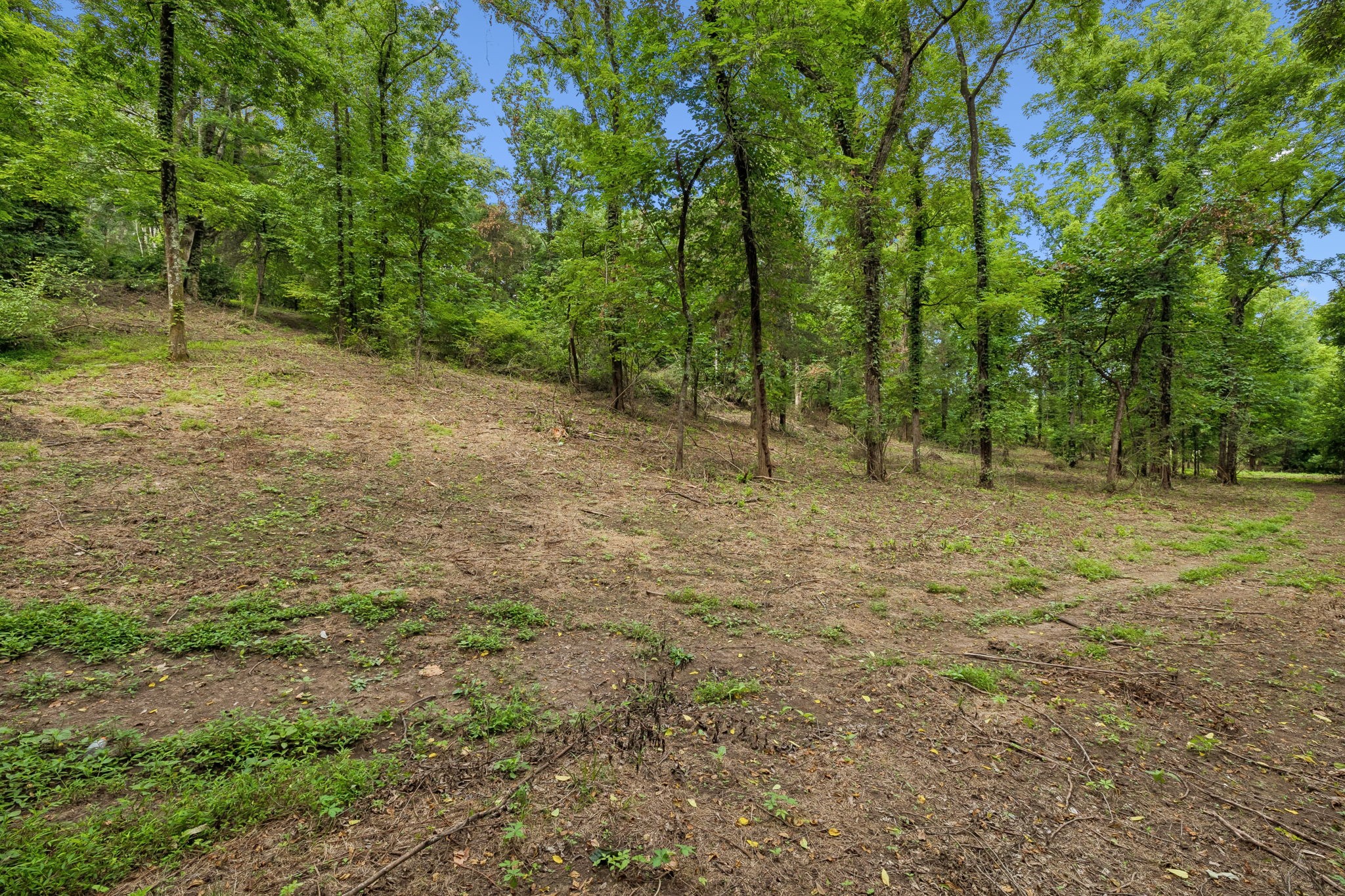 Listing image 60