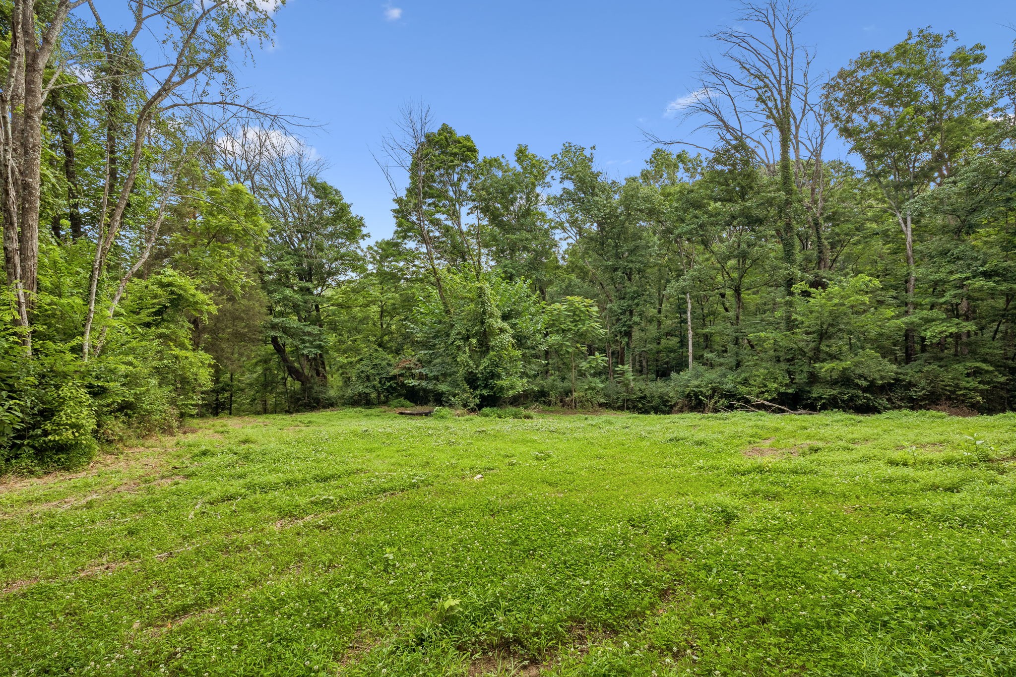 Listing image 58