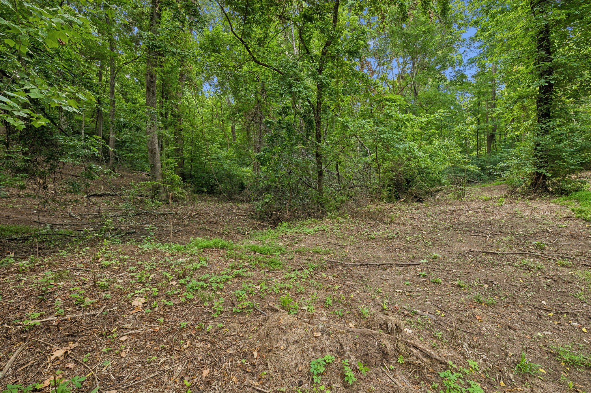 Listing image 85