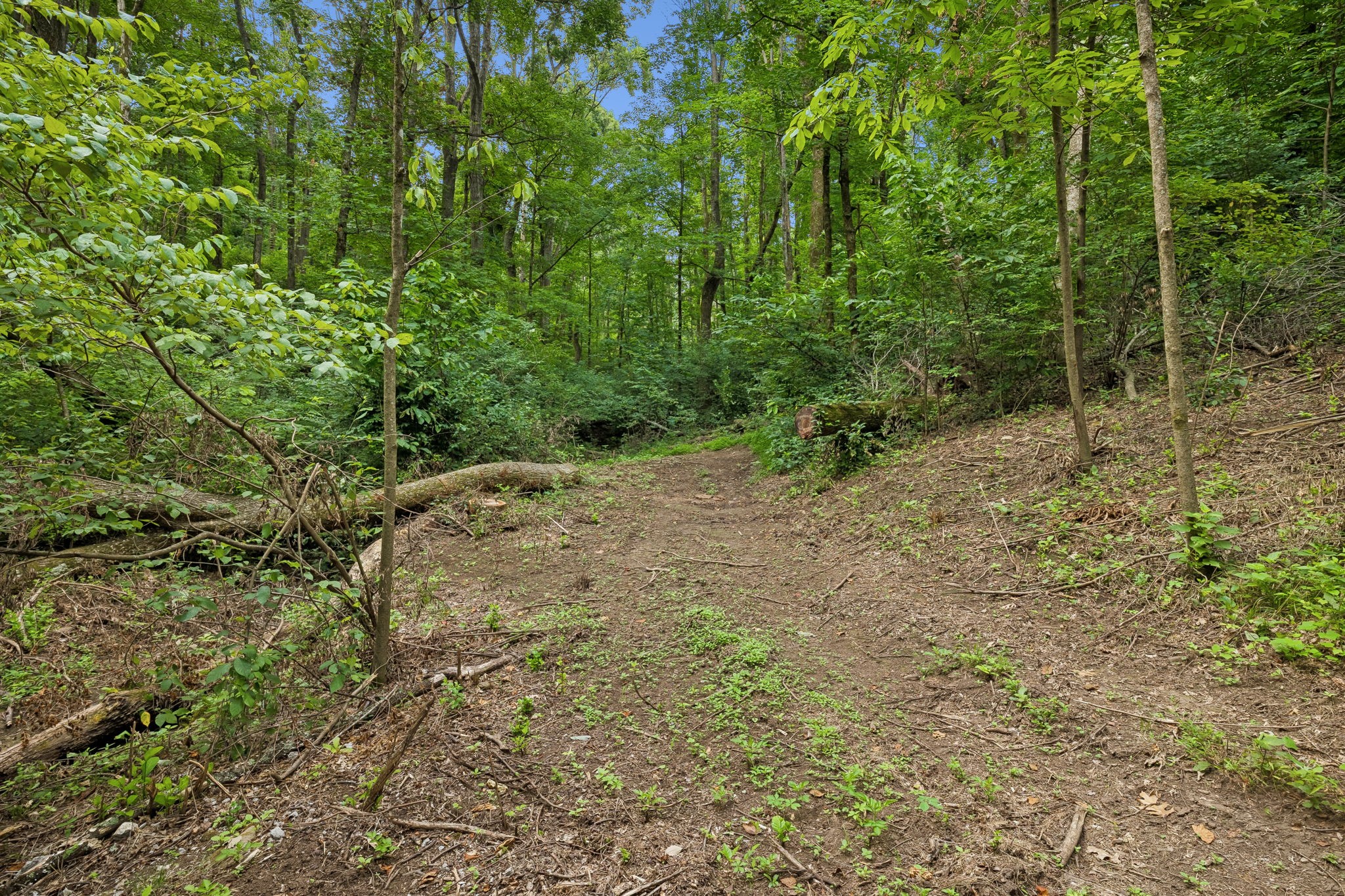 Listing image 86