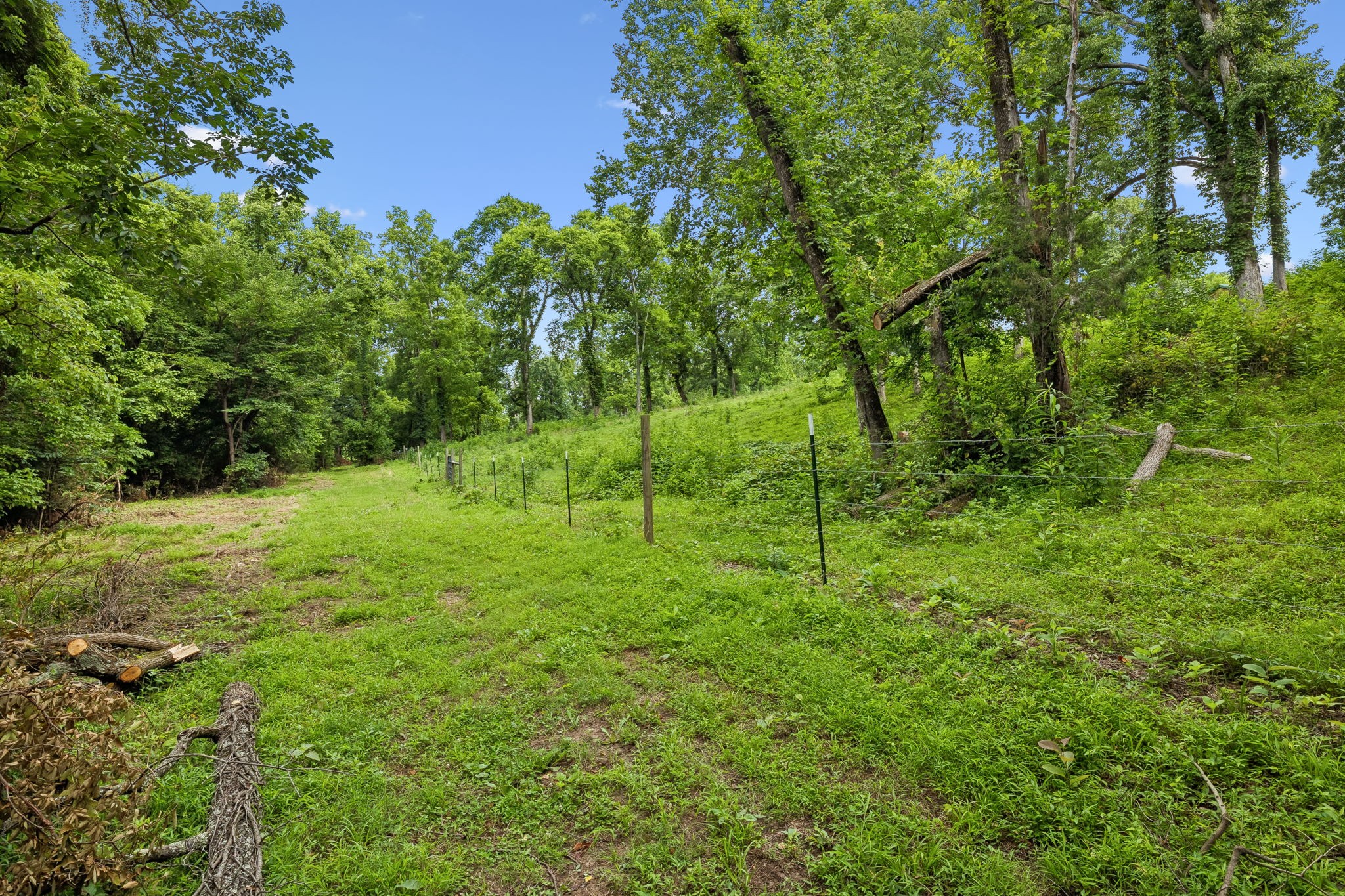 Listing image 87