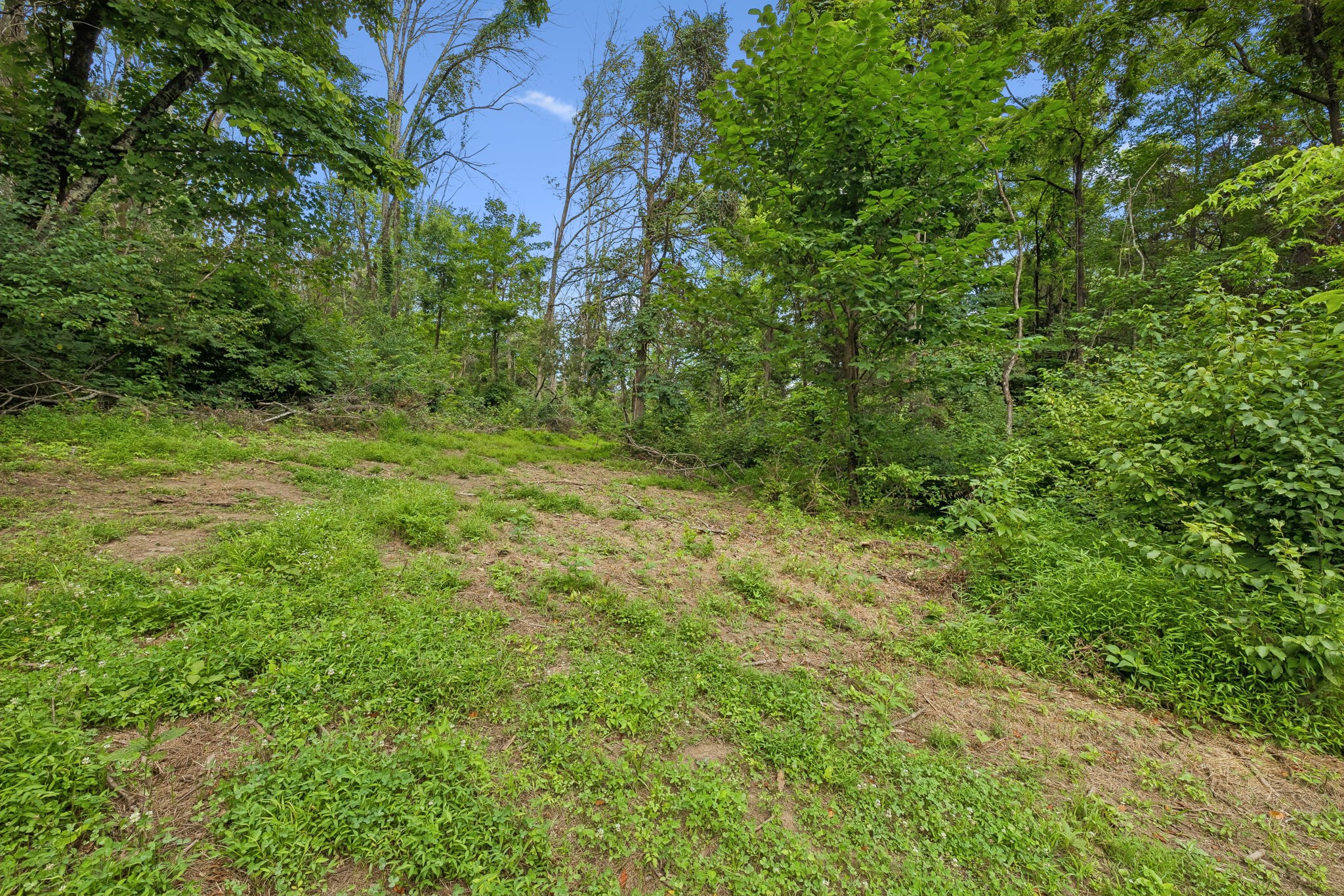 Listing image 84