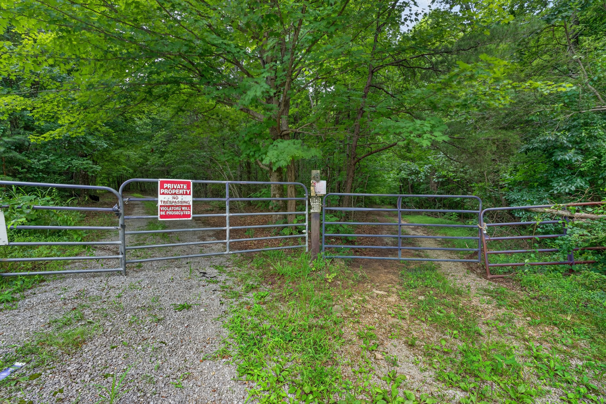 Listing image 26