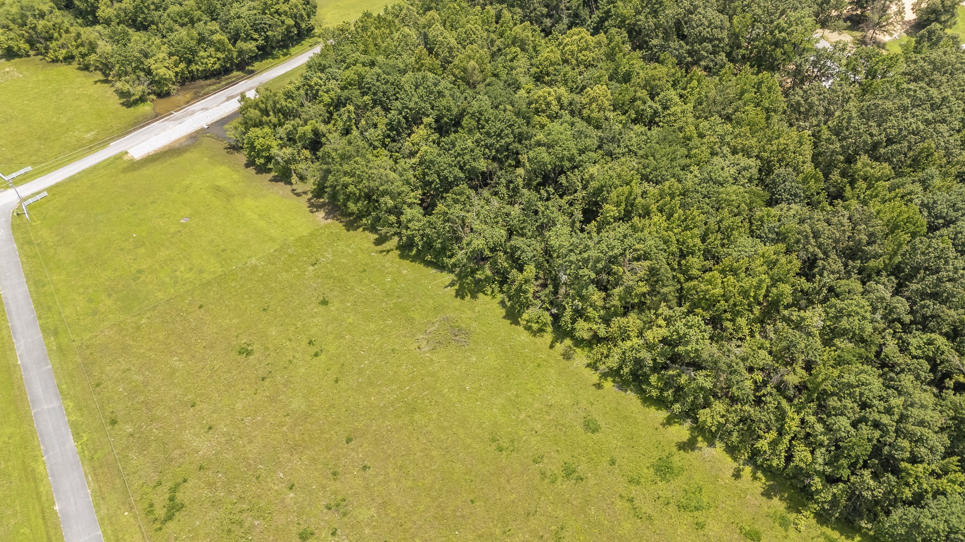 Listing image 45