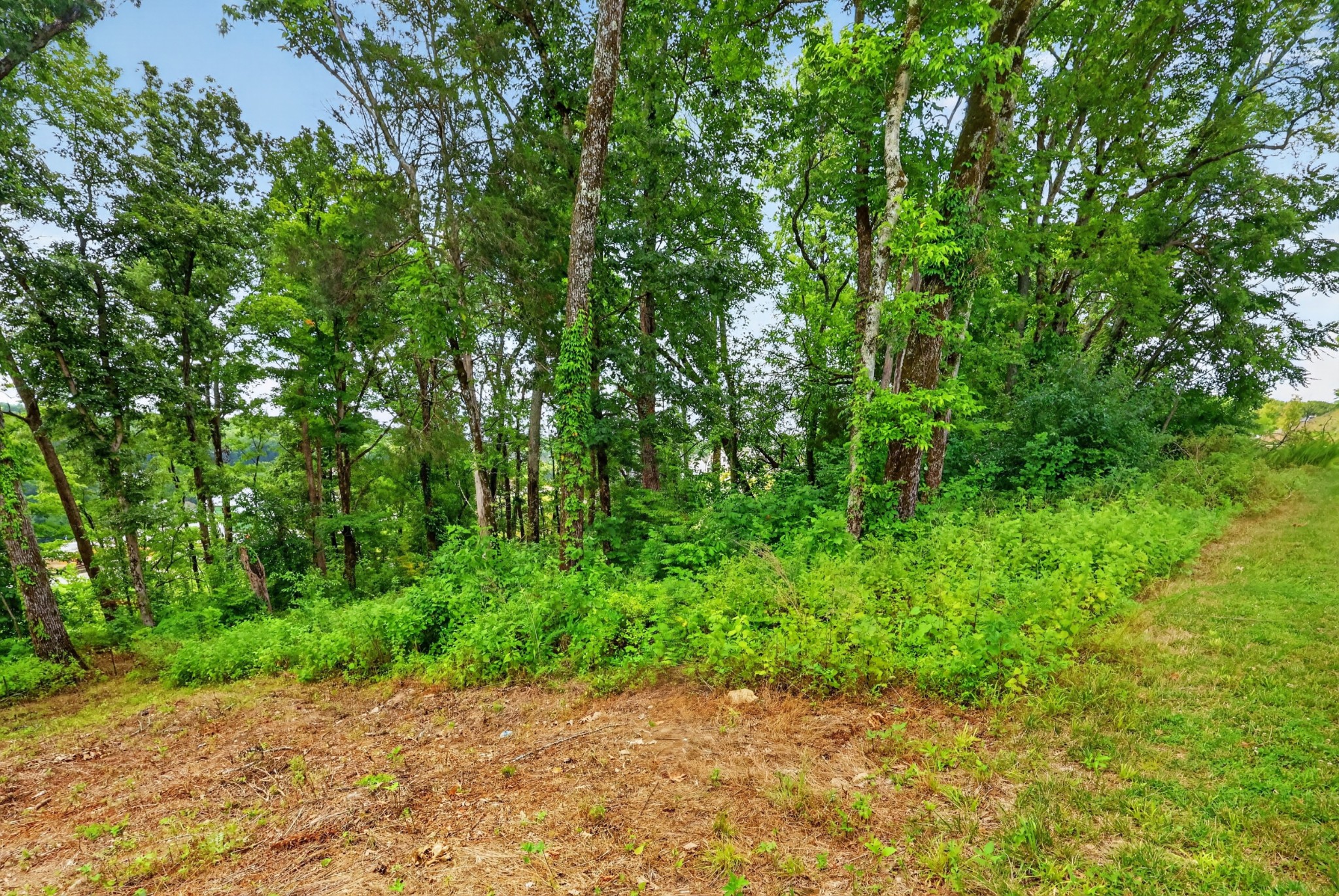 Listing image 43