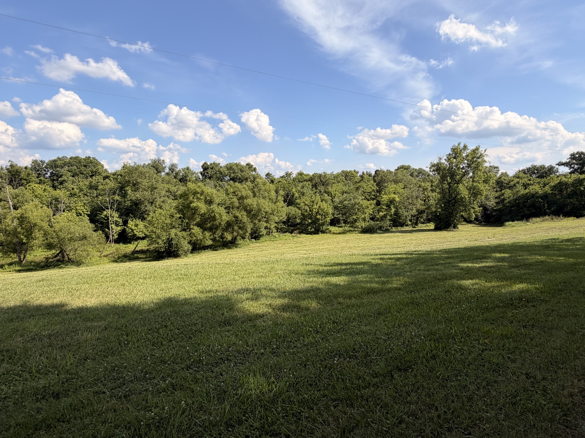 Listing image 79