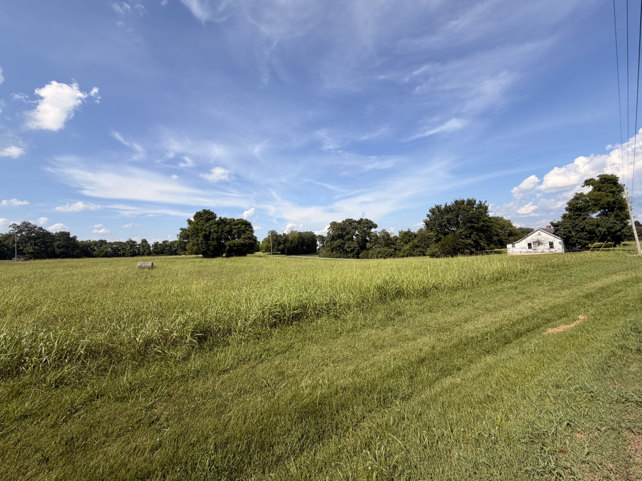 Listing image 56