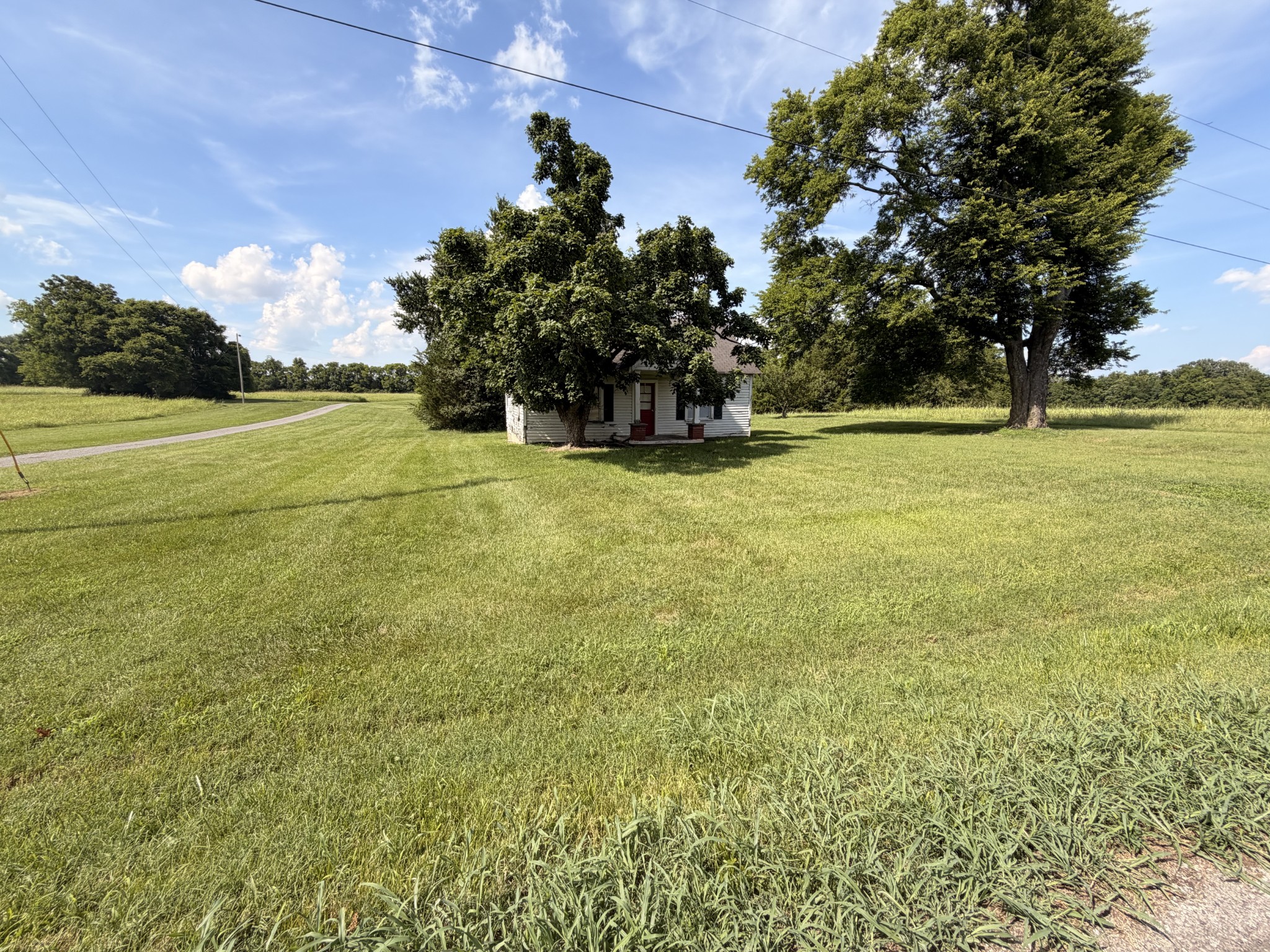 Listing image 52