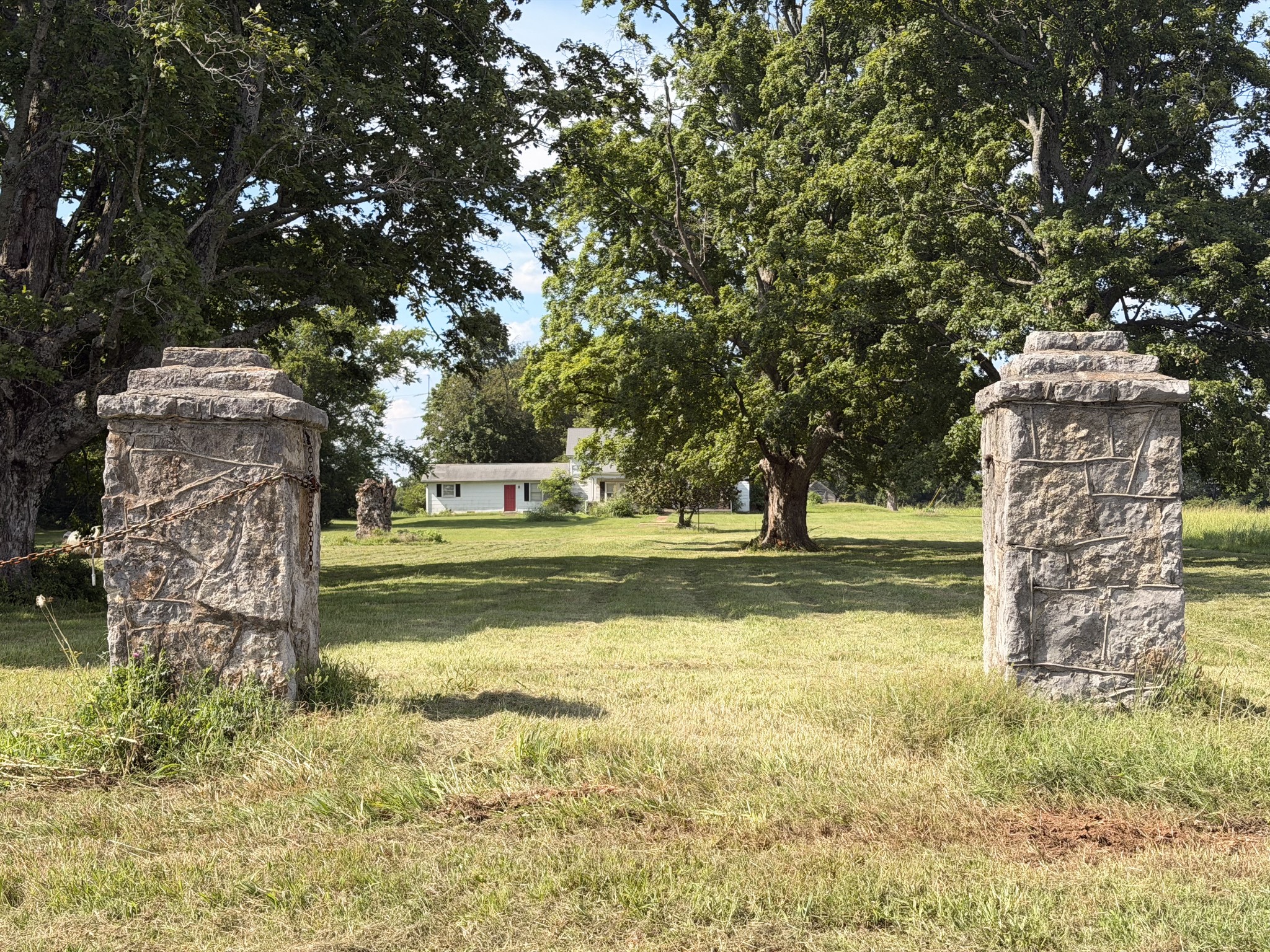 Listing image 60