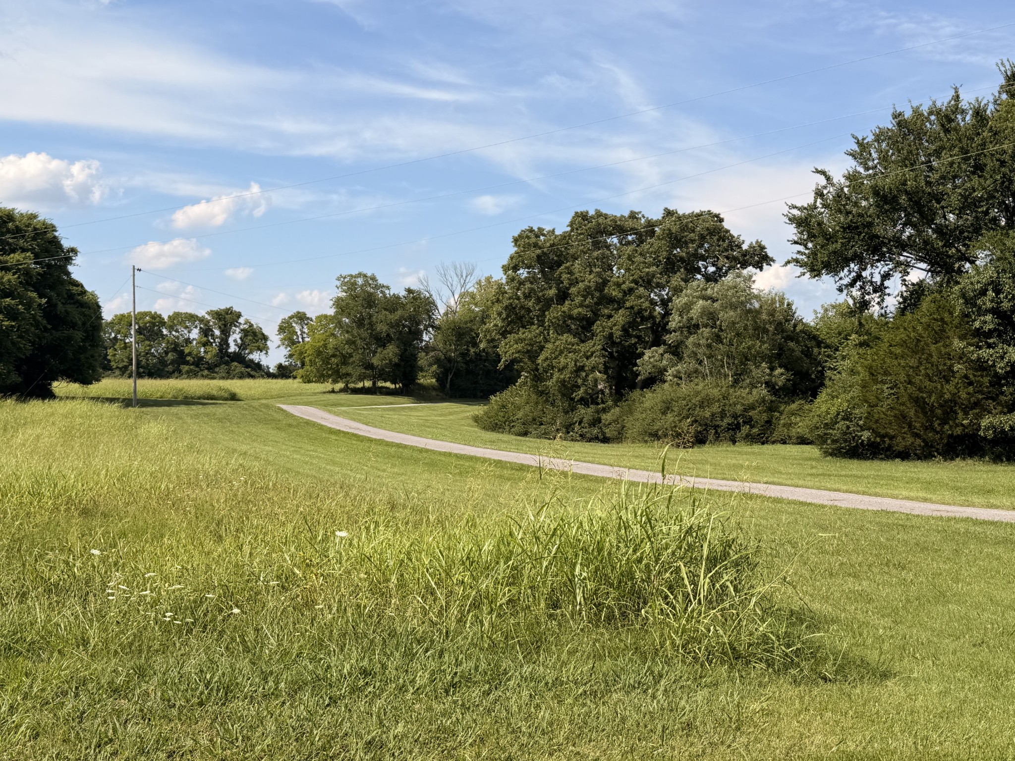 Listing image 72