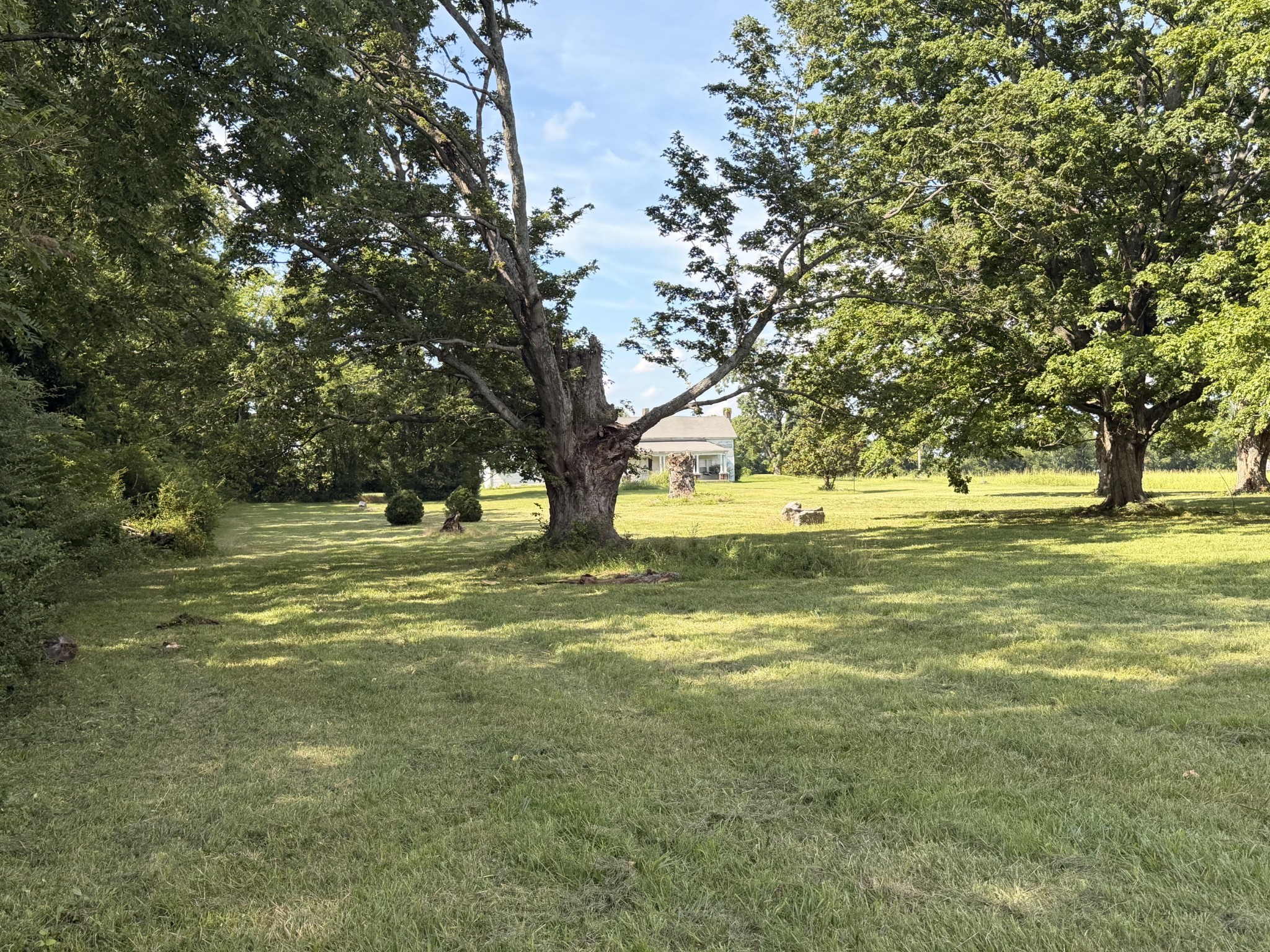Listing image 62