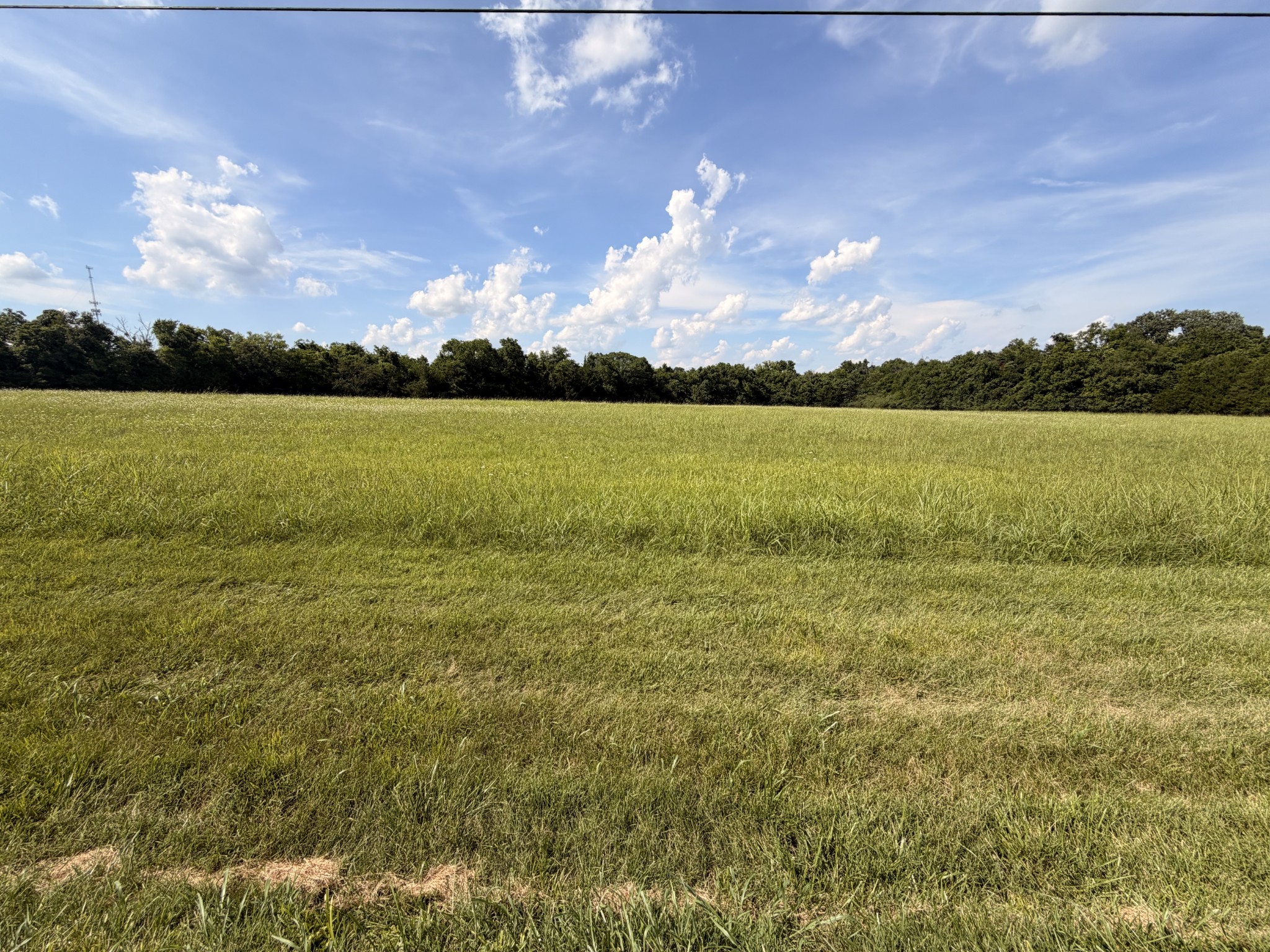 Listing image 49