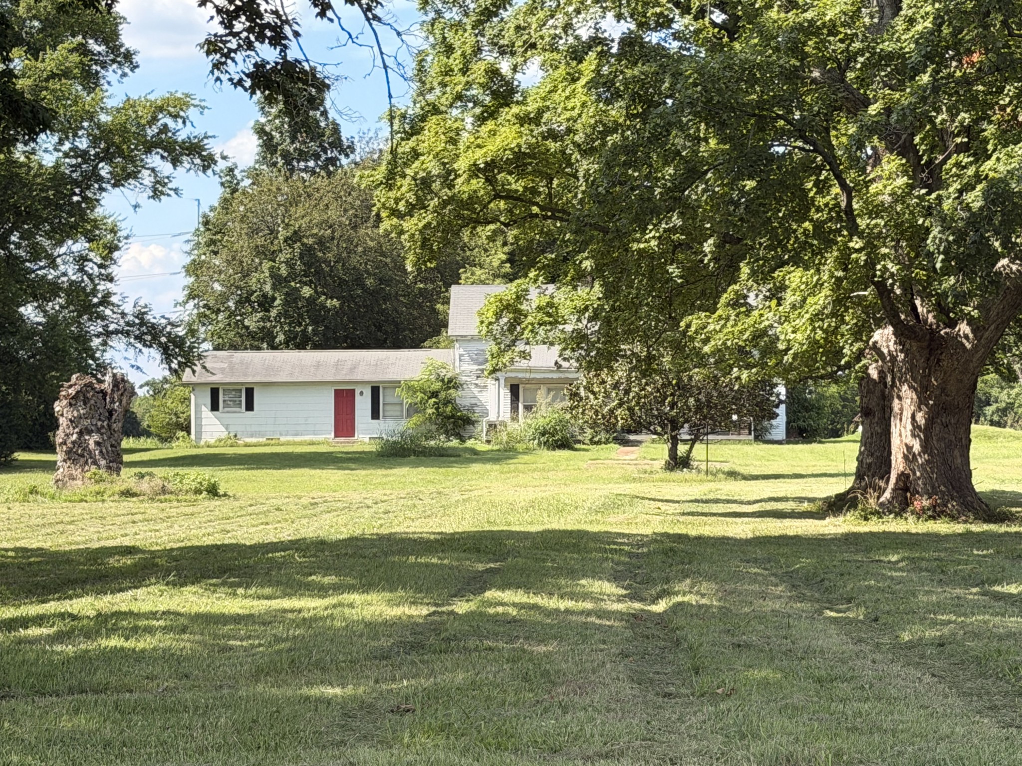 Listing image 67