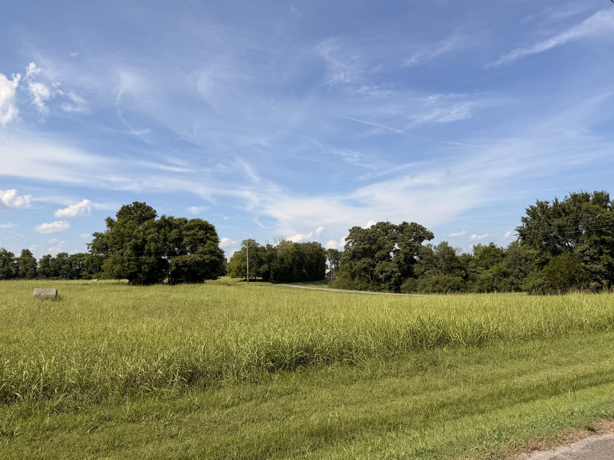 Listing image 69