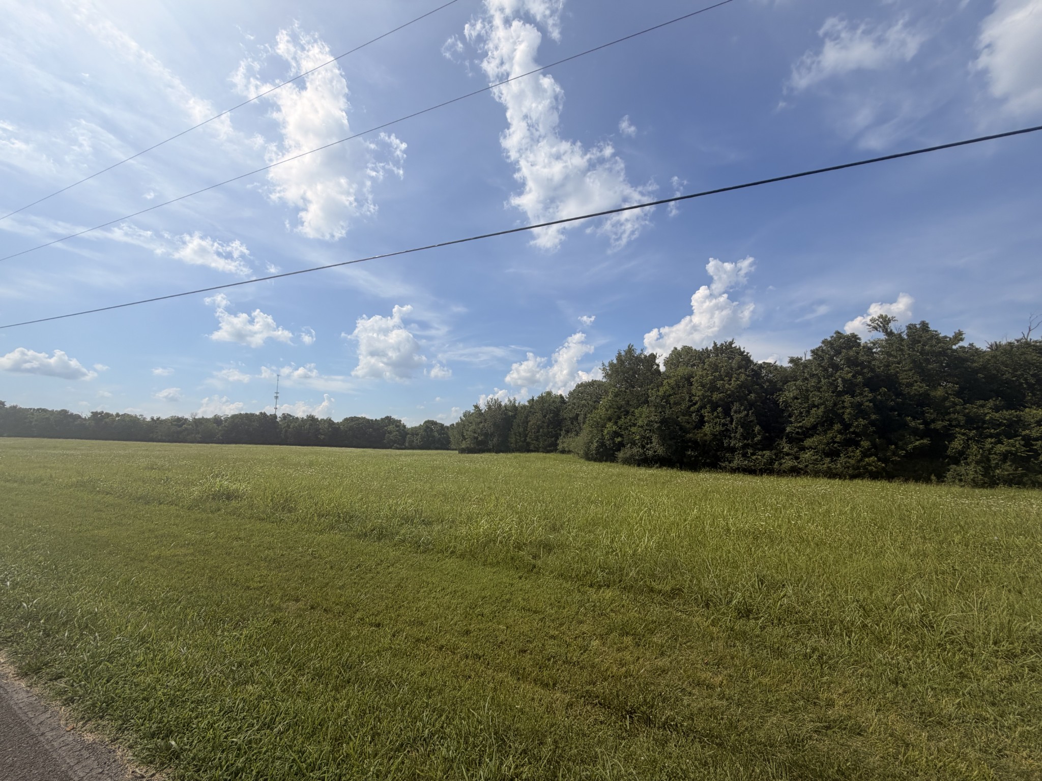 Listing image 45