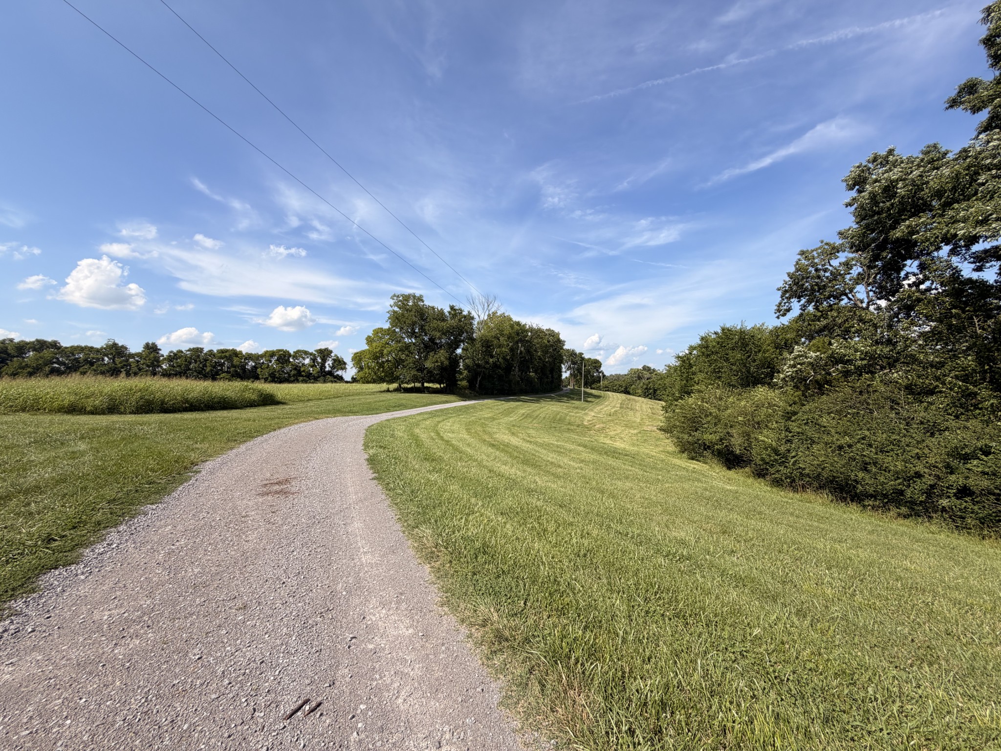 Listing image 68