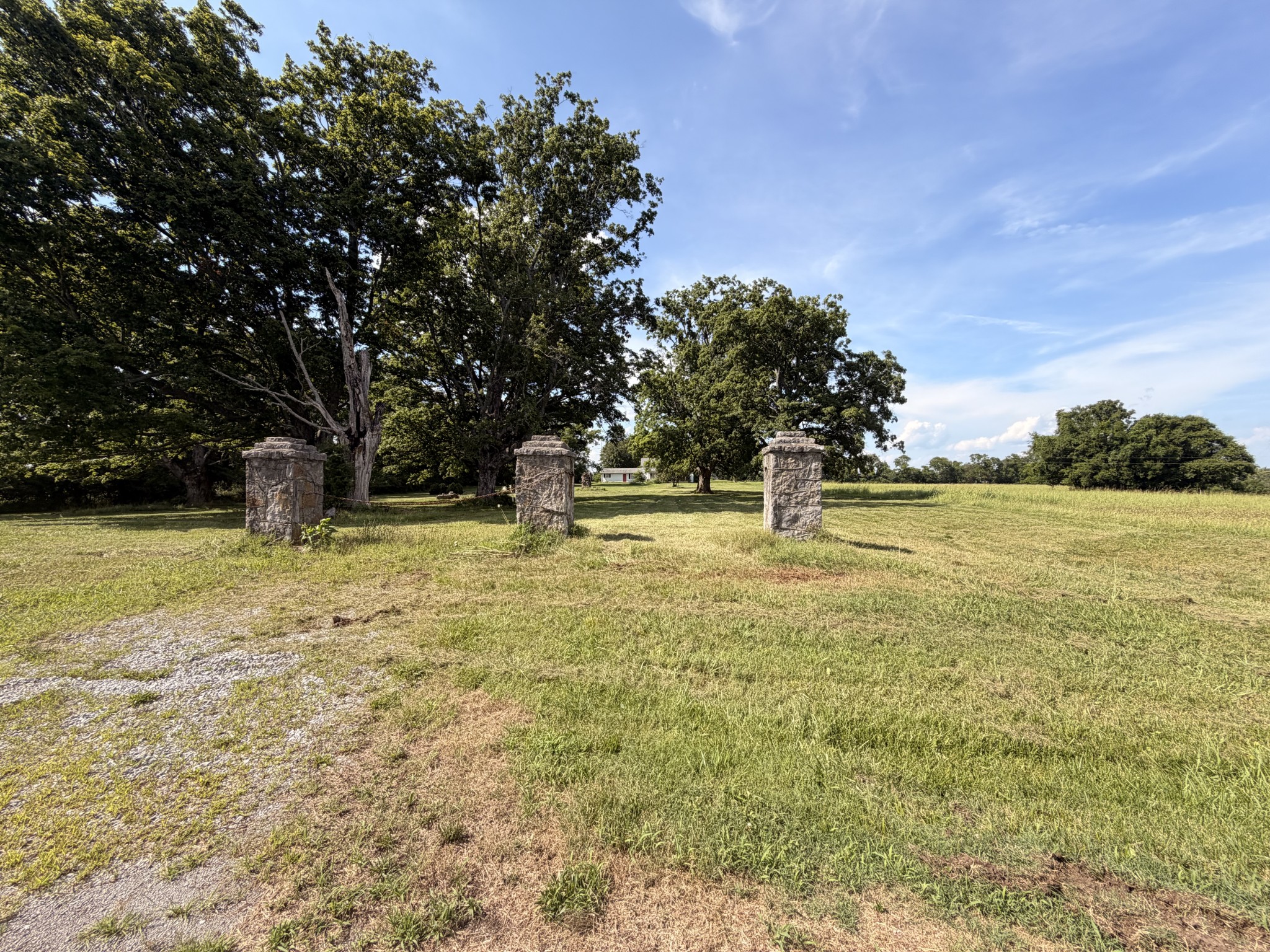 Listing image 59