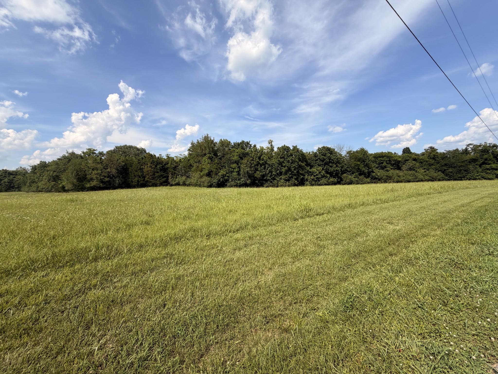 Listing image 48