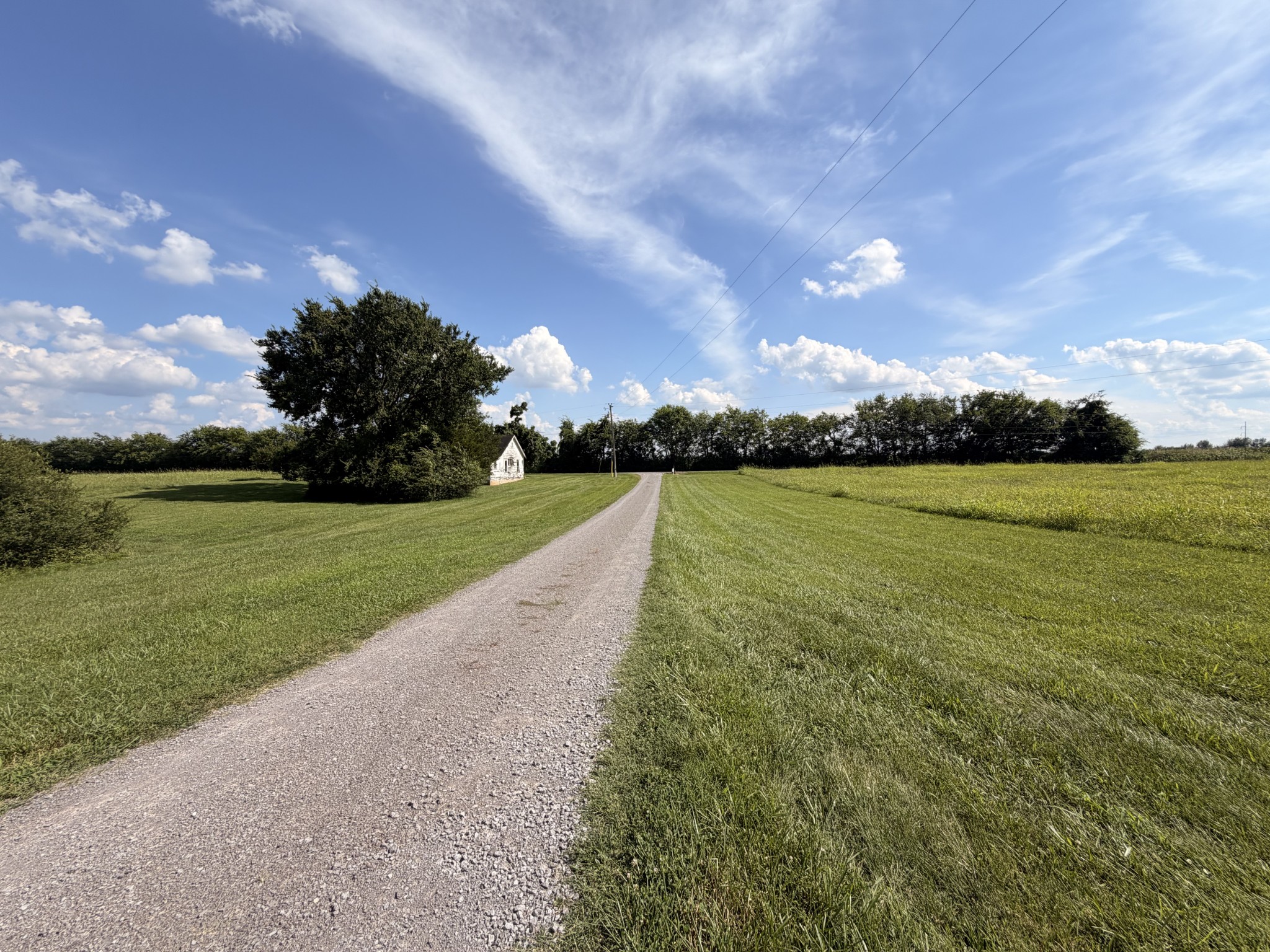 Listing image 80