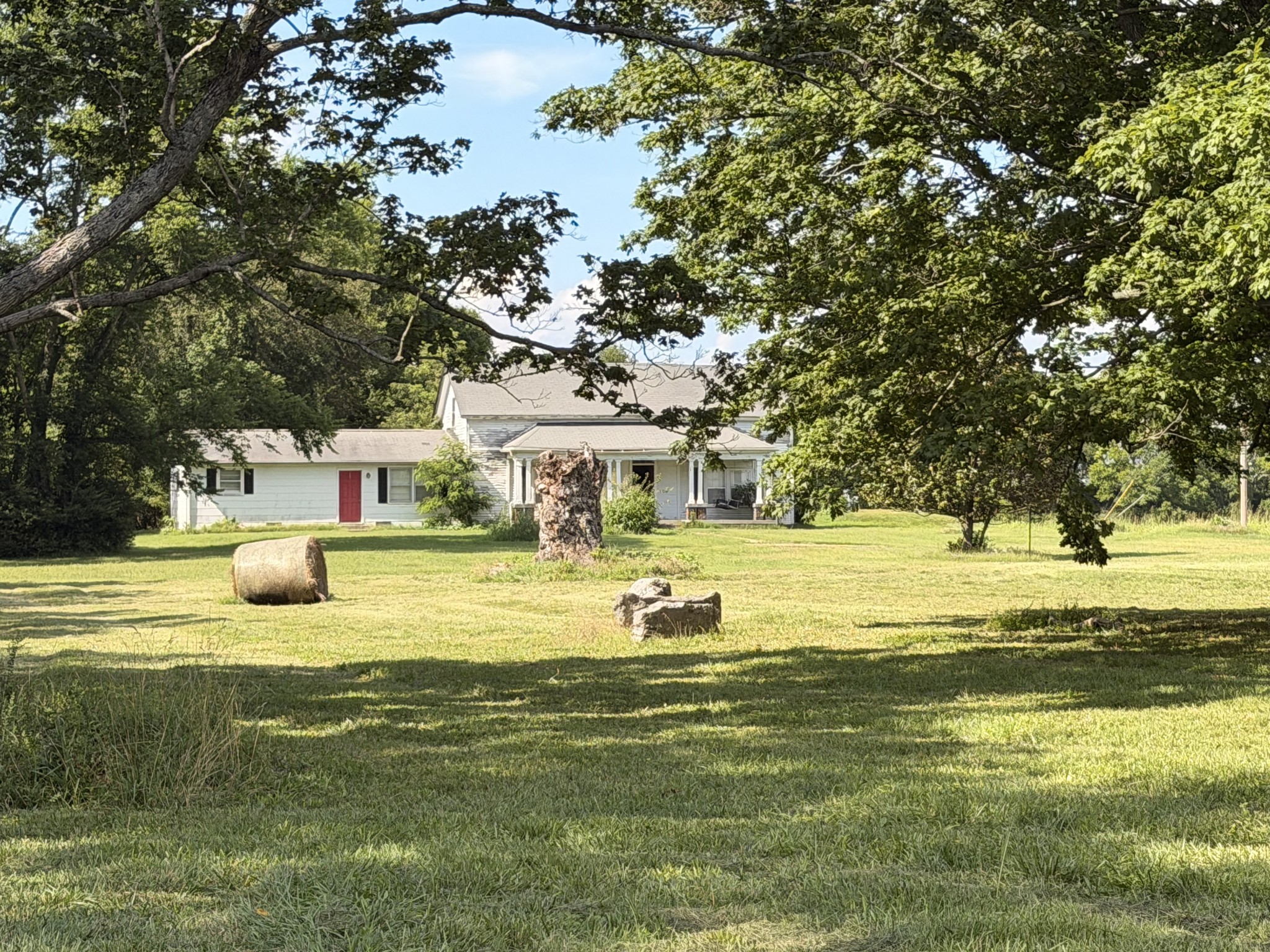 Listing image 64