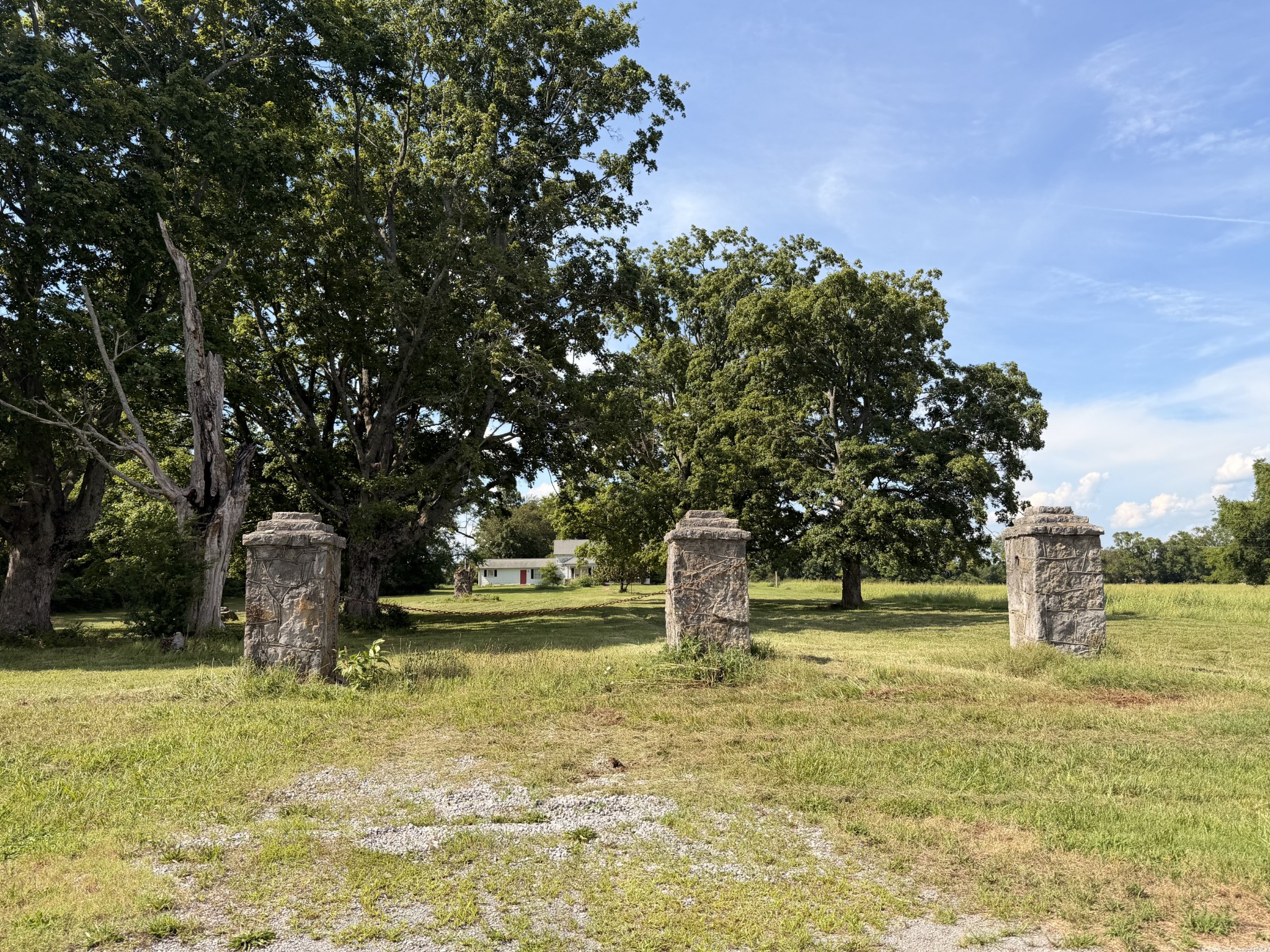 Listing image 66