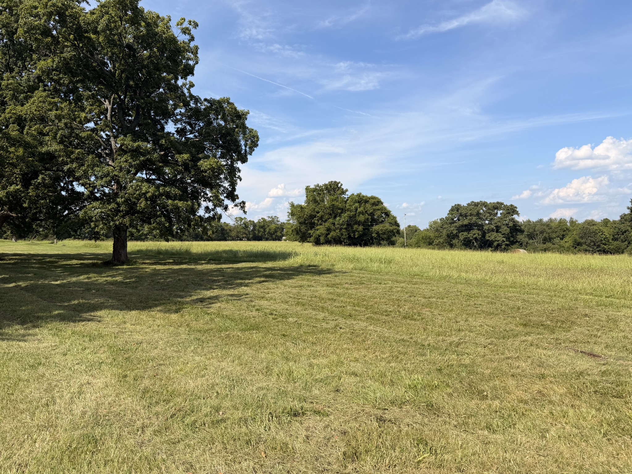 Listing image 65