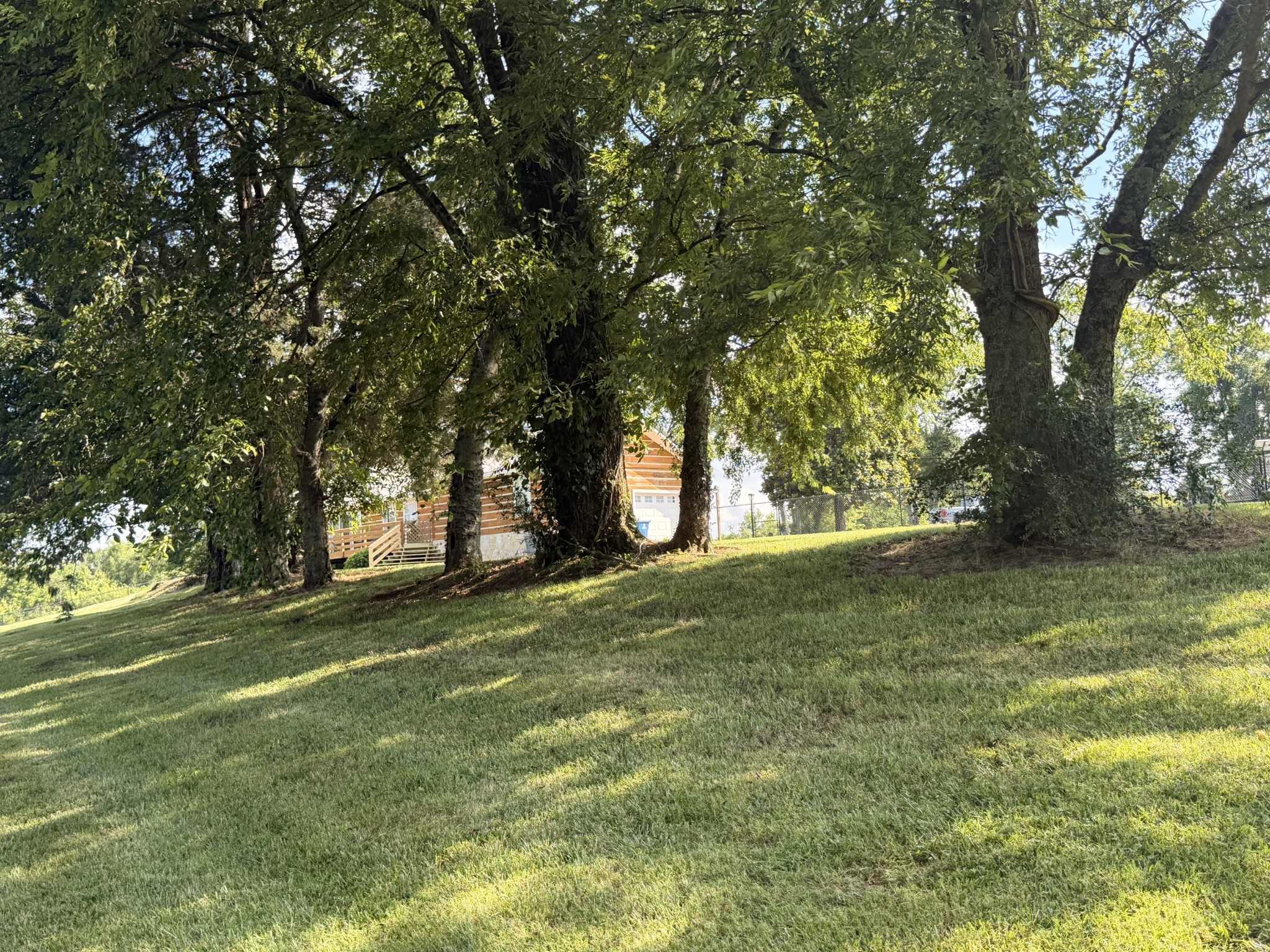 Listing image 35