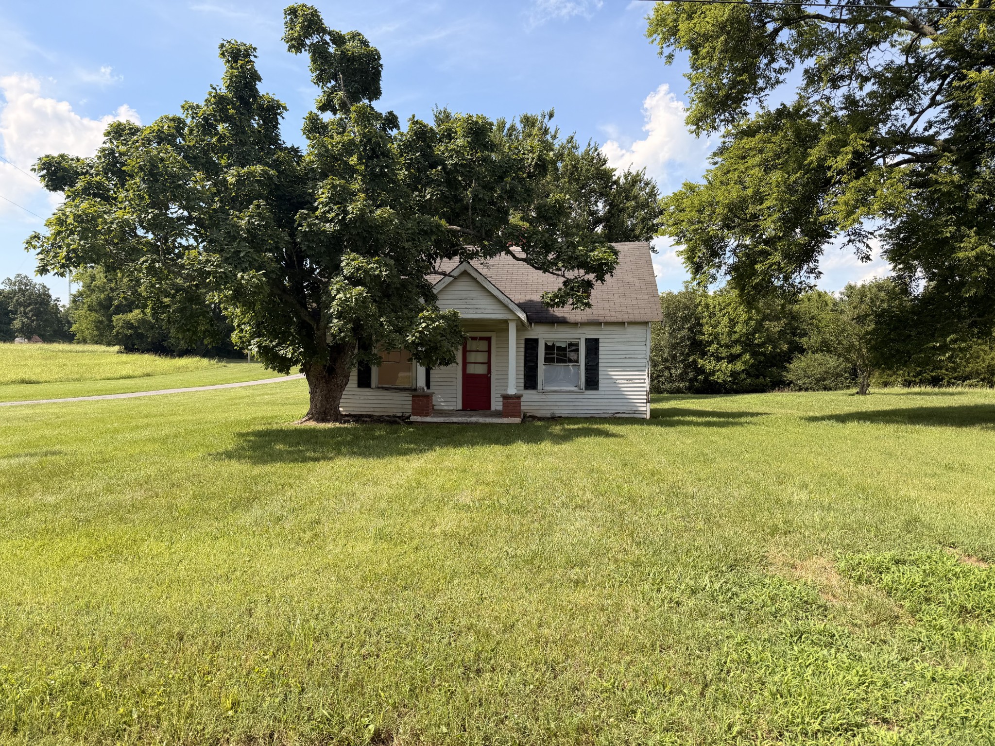 Listing image 54