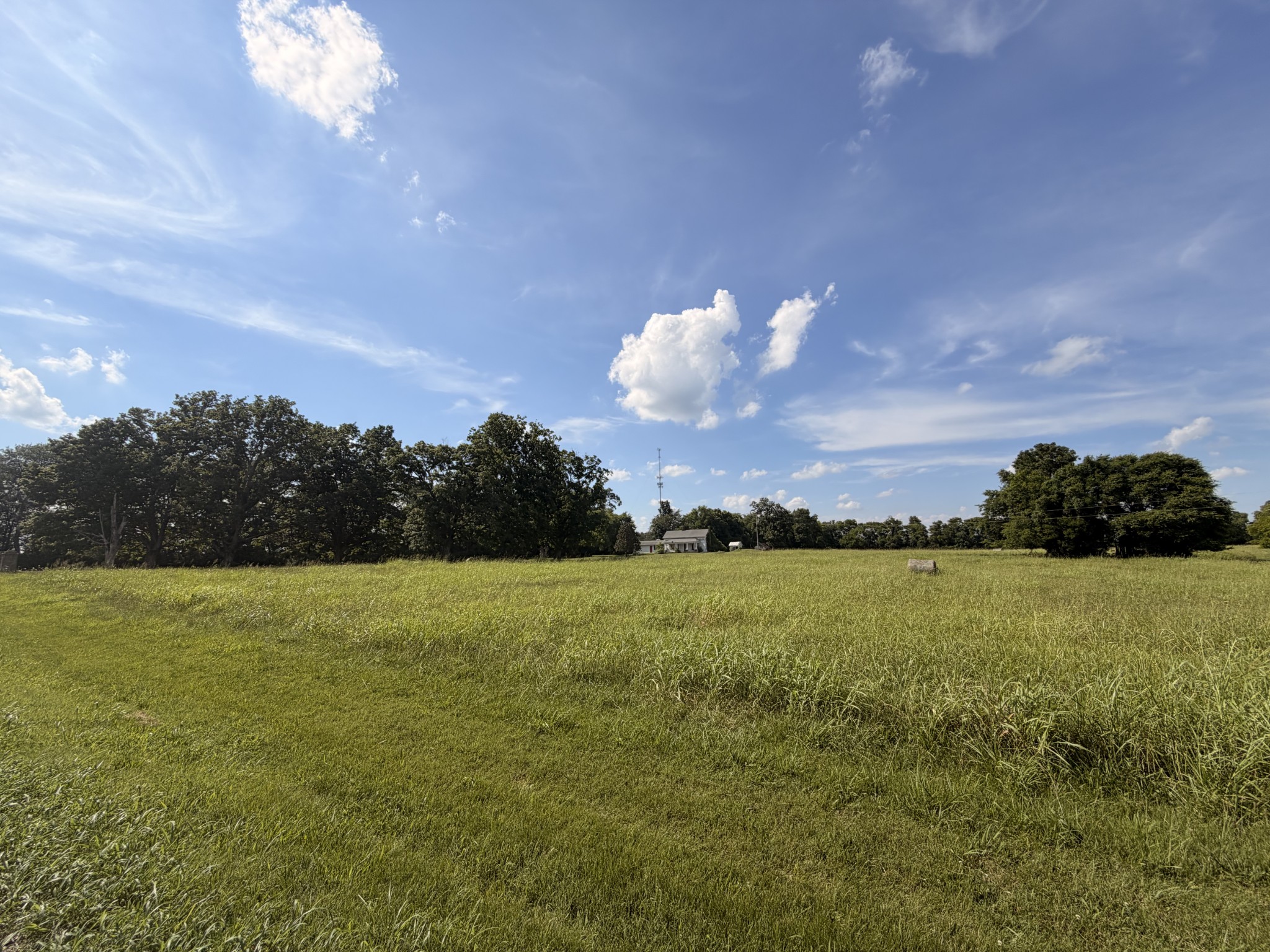 Listing image 57