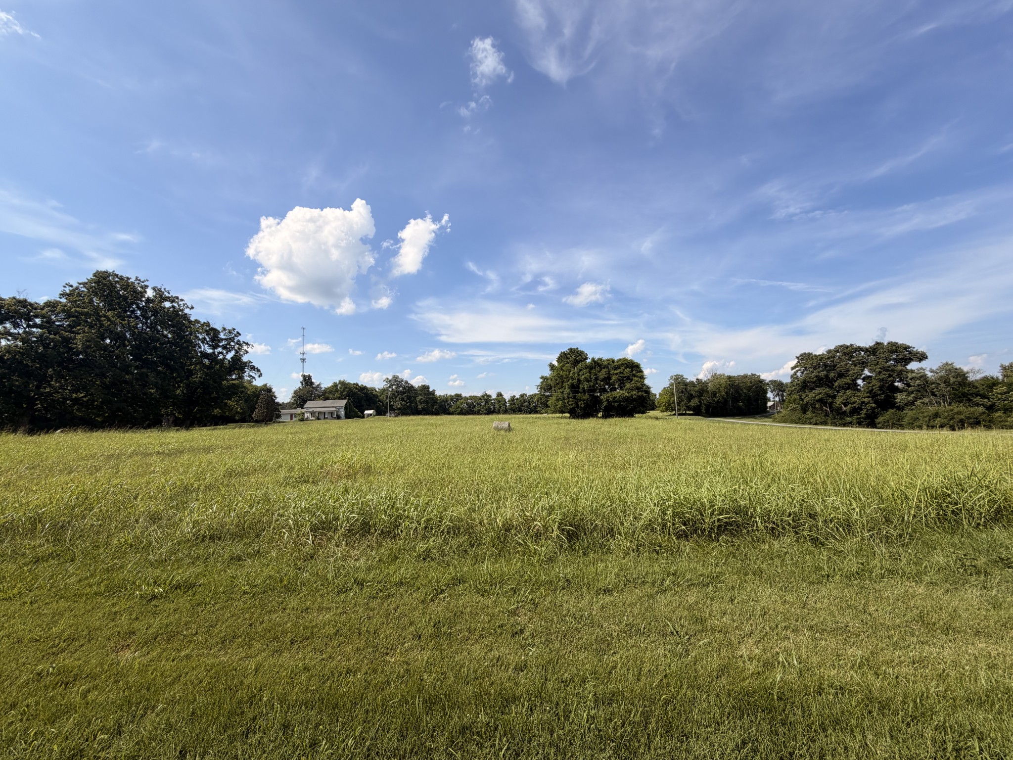 Listing image 55