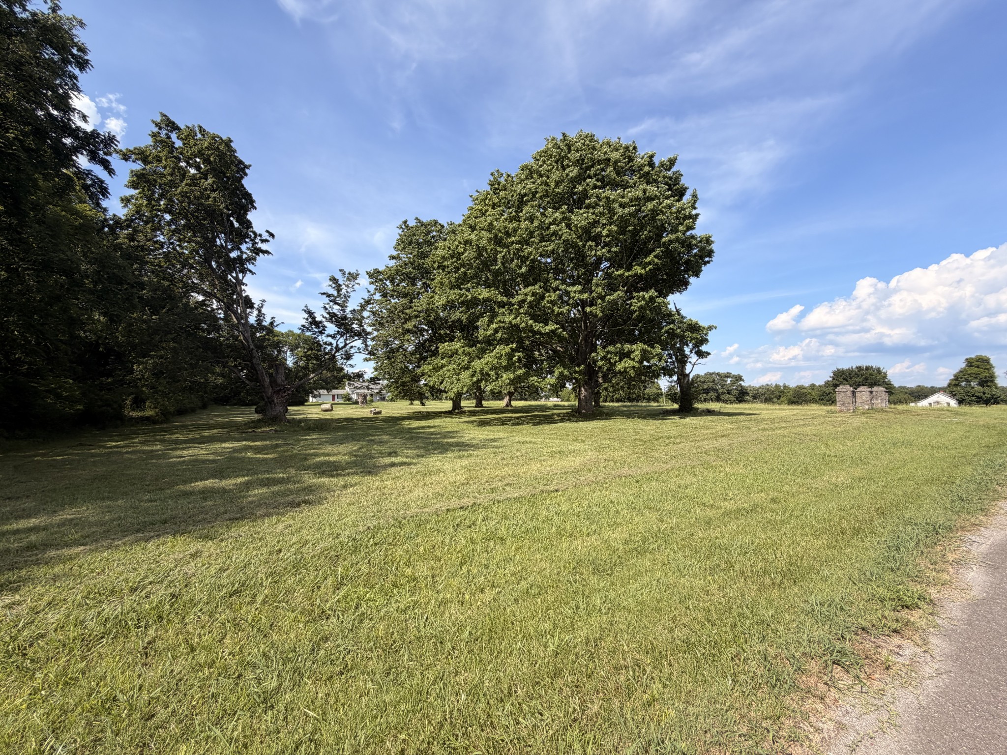 Listing image 61