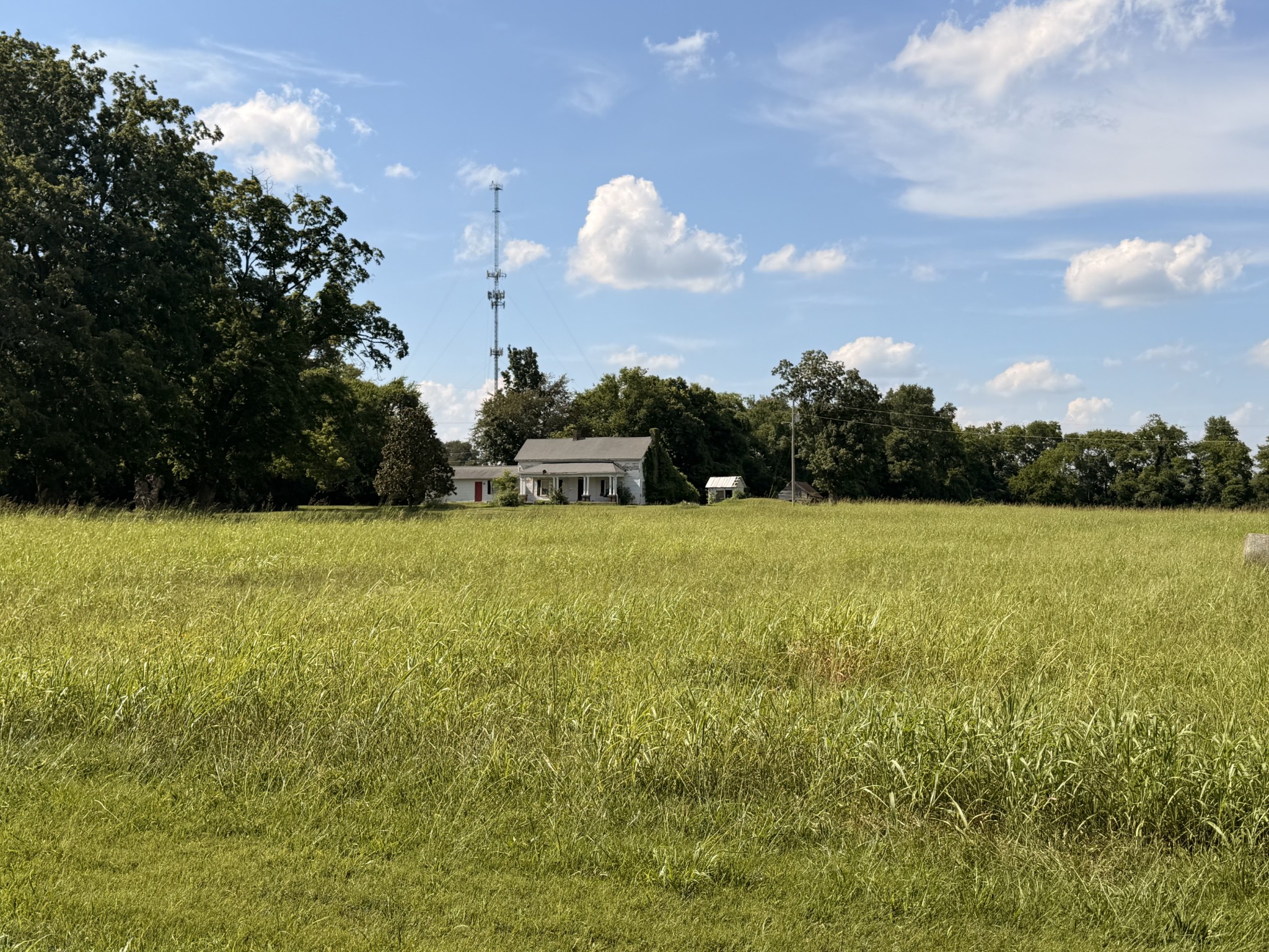 Listing image 71