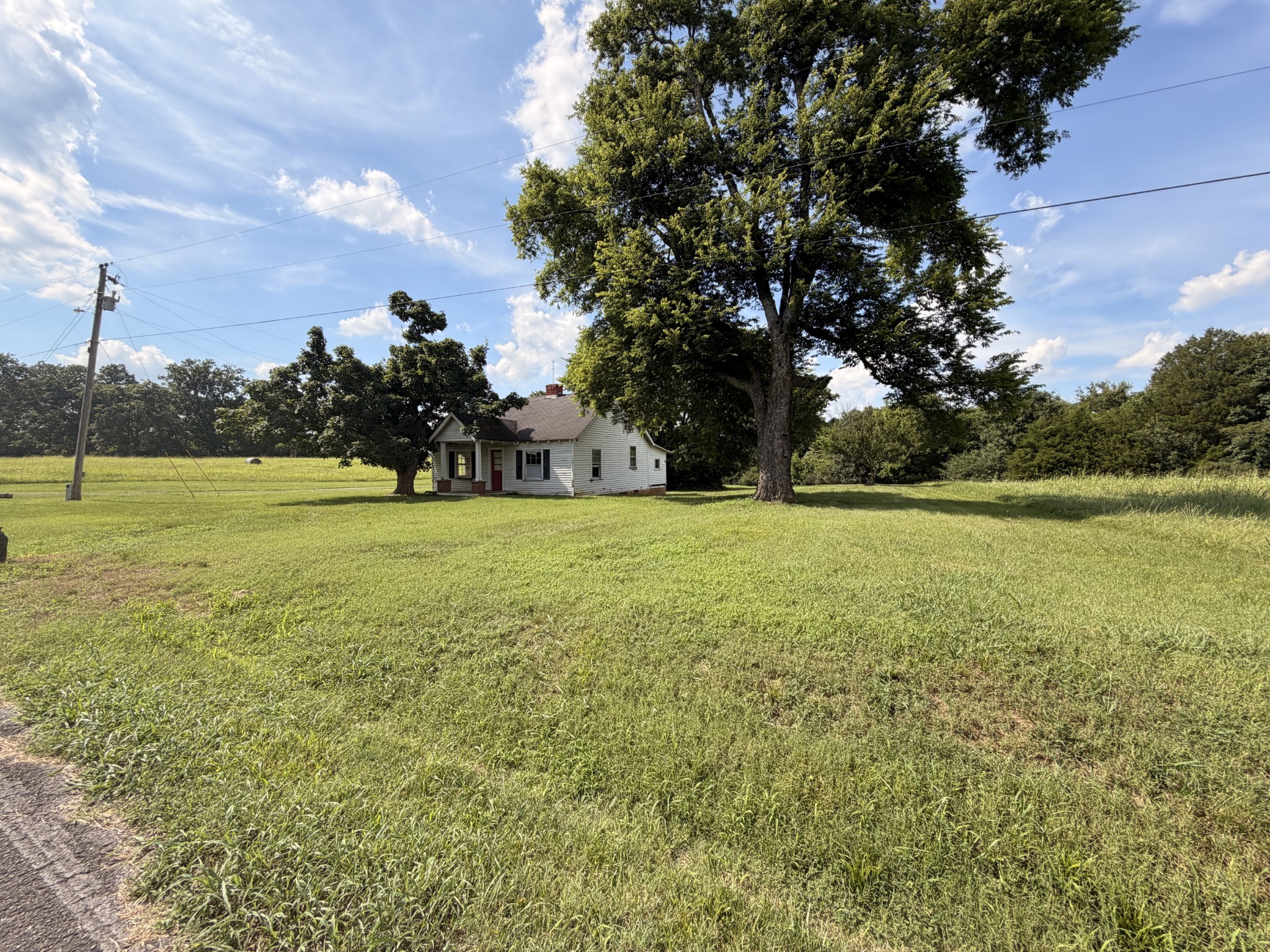 Listing image 51
