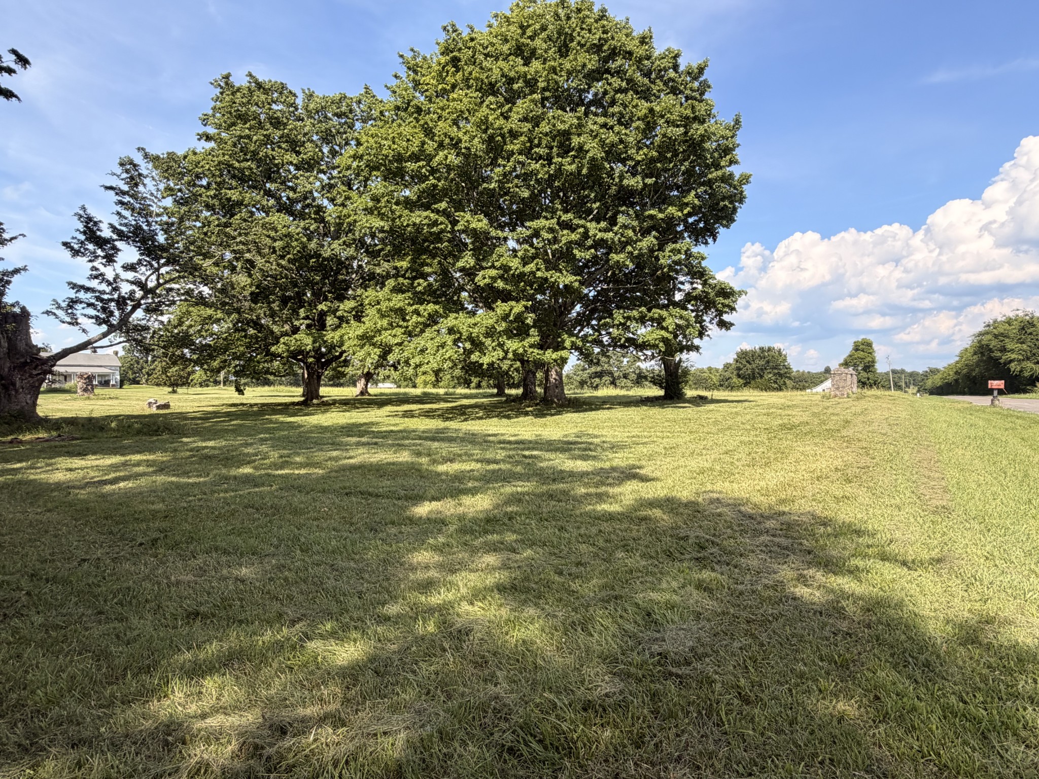 Listing image 63