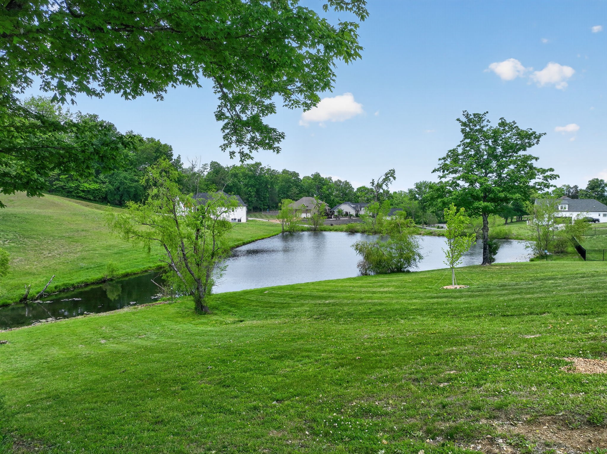 Listing image 64